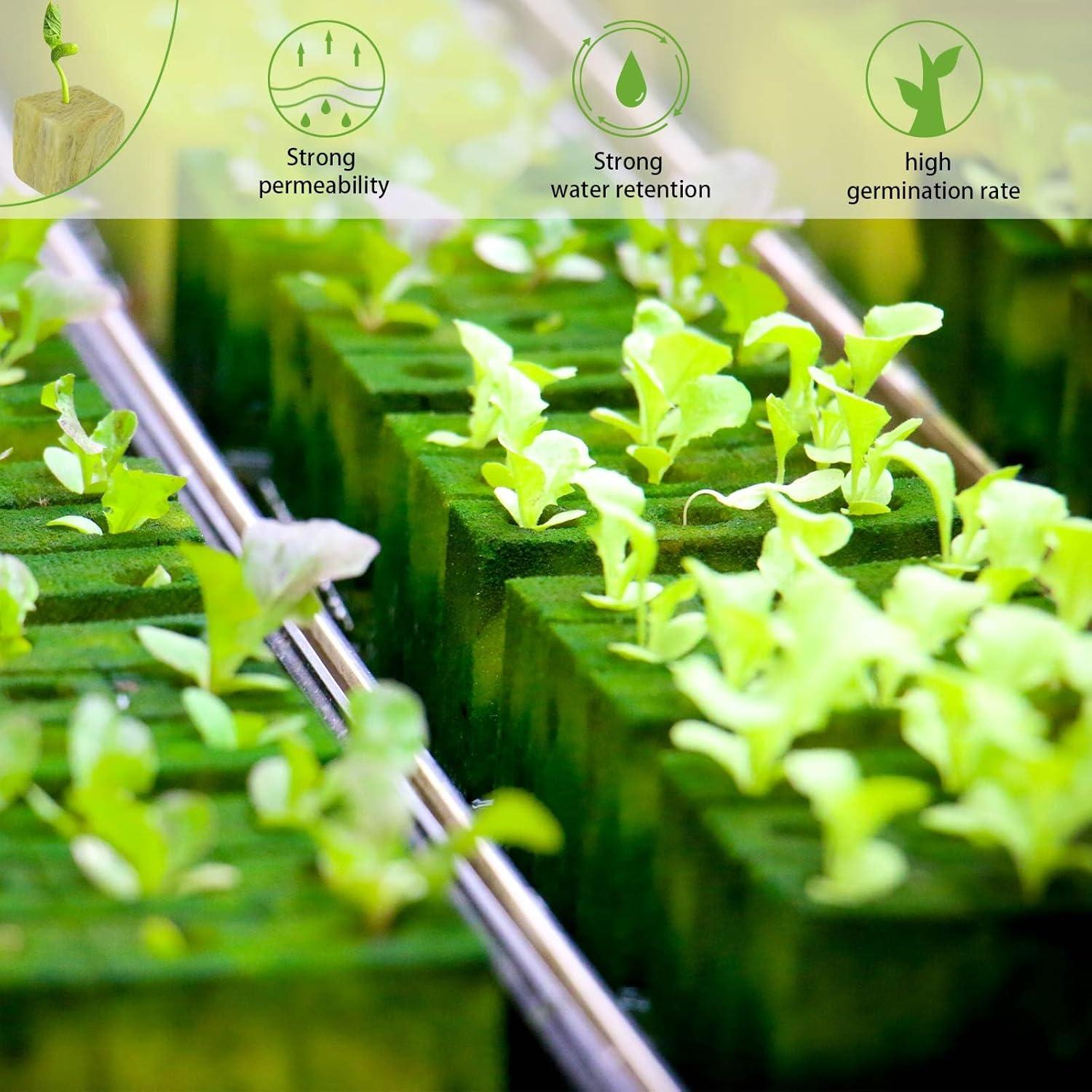 Cubos de Lana de Roca Halatool 1 Pulgada 200 Piezas