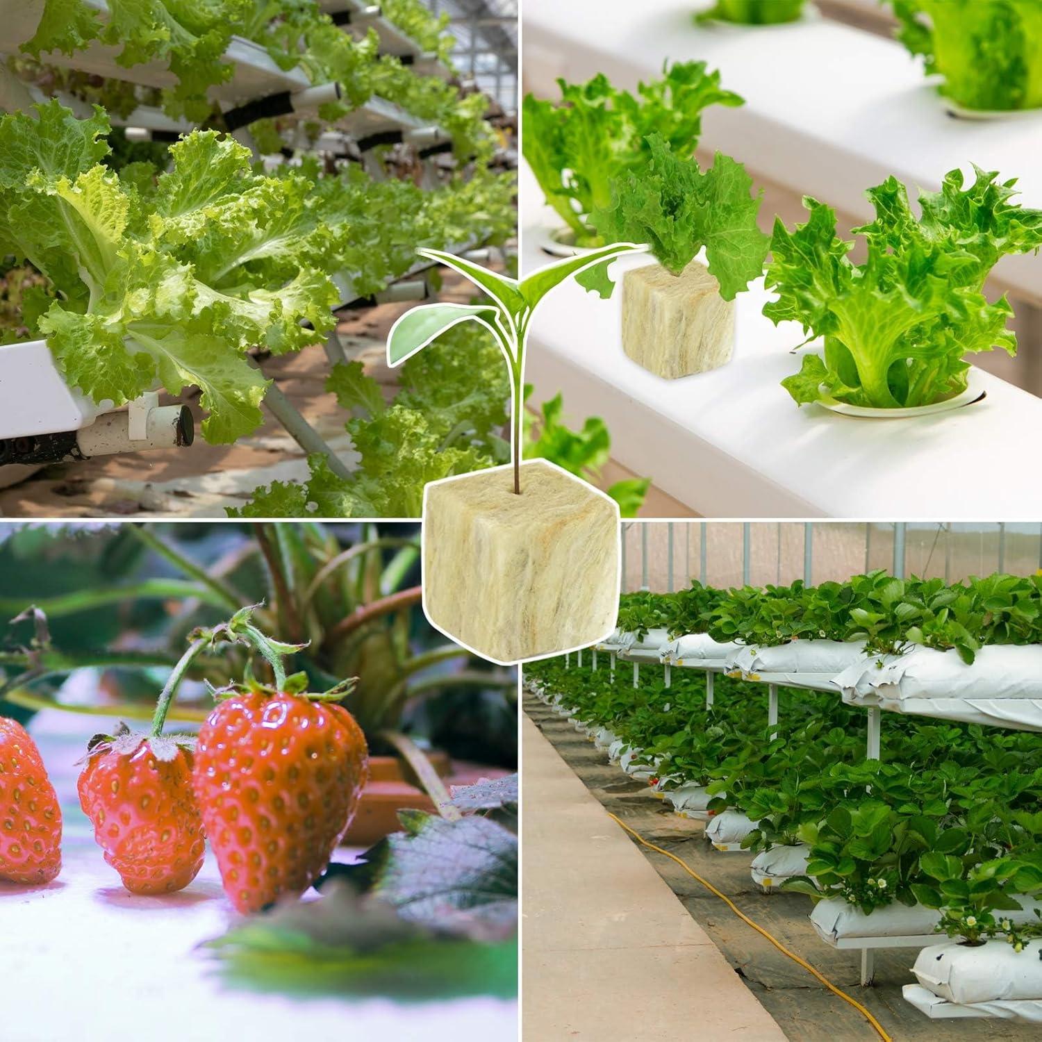 Cubos de Lana de Roca Halatool 1 Pulgada 200 Piezas