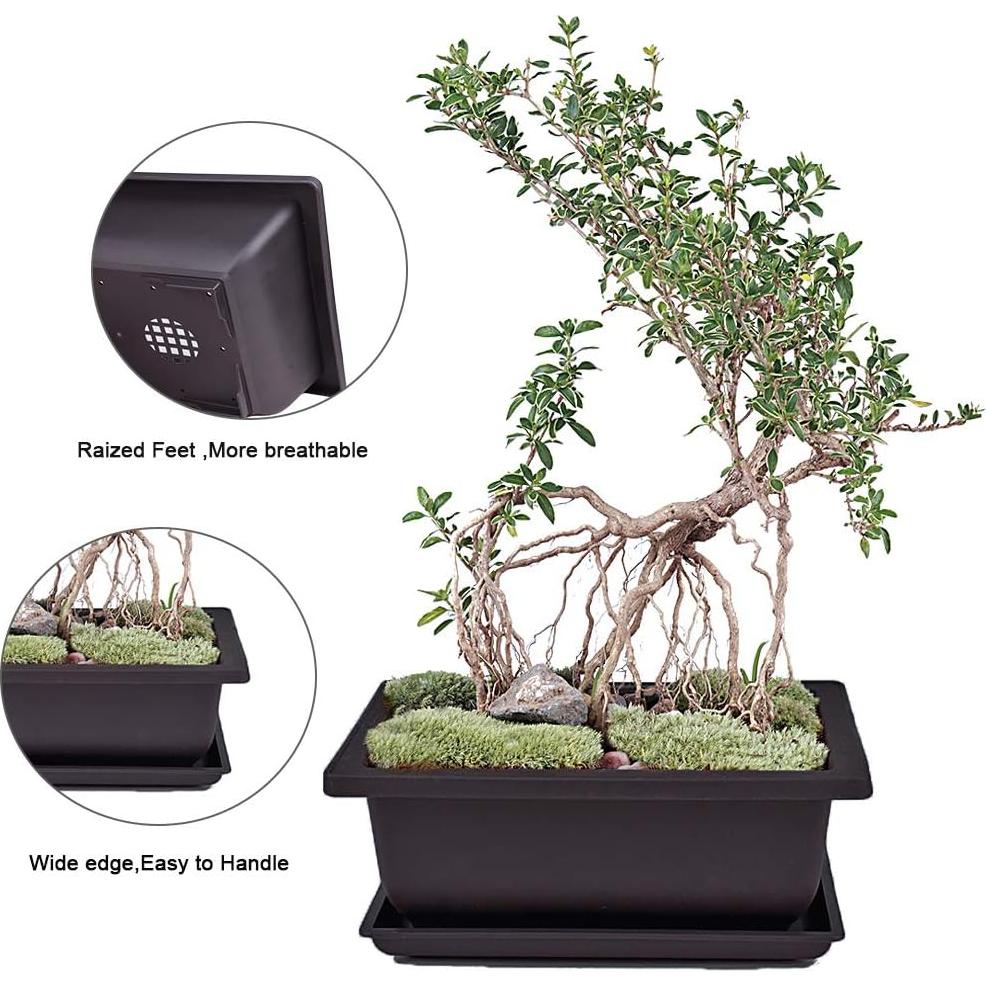 Macetas Cuadradas MUZHI 6 Piezas Retro 16.5 cm para Bonsai