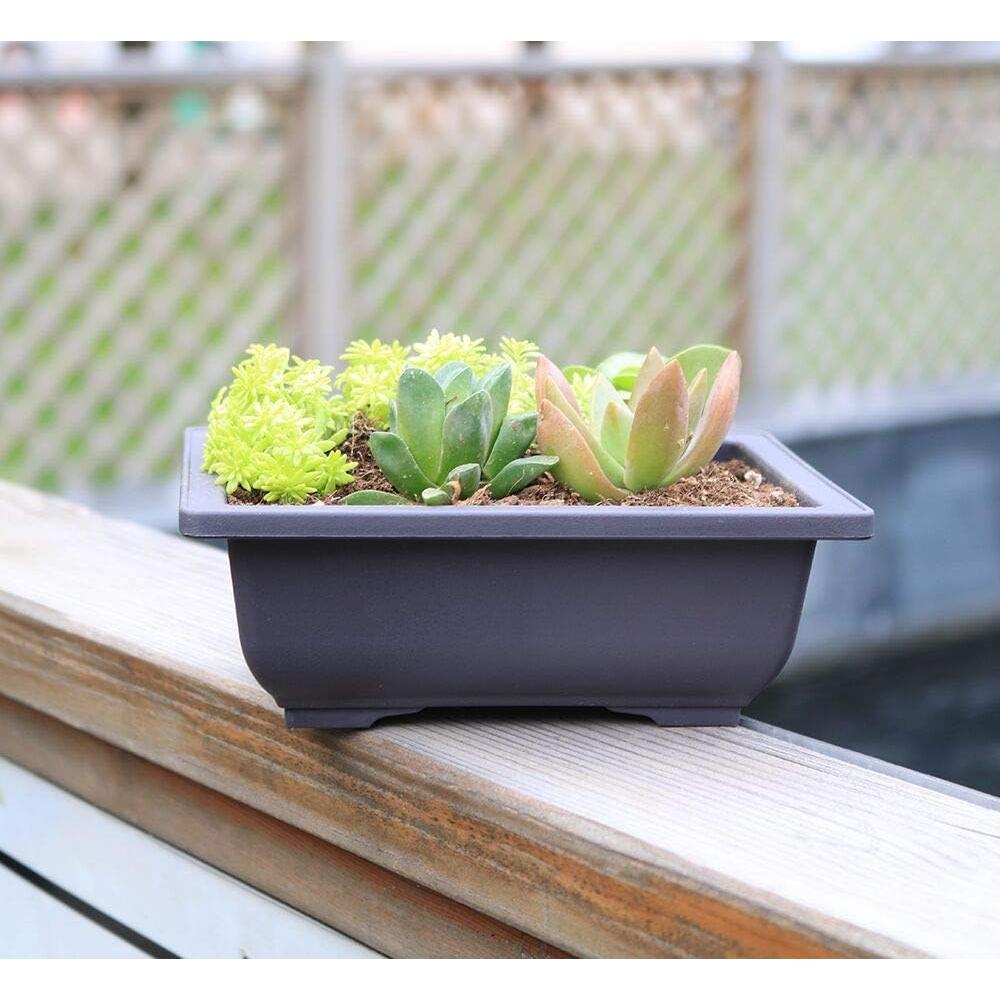 Macetas Cuadradas MUZHI 6 Piezas Retro 16.5 cm para Bonsai