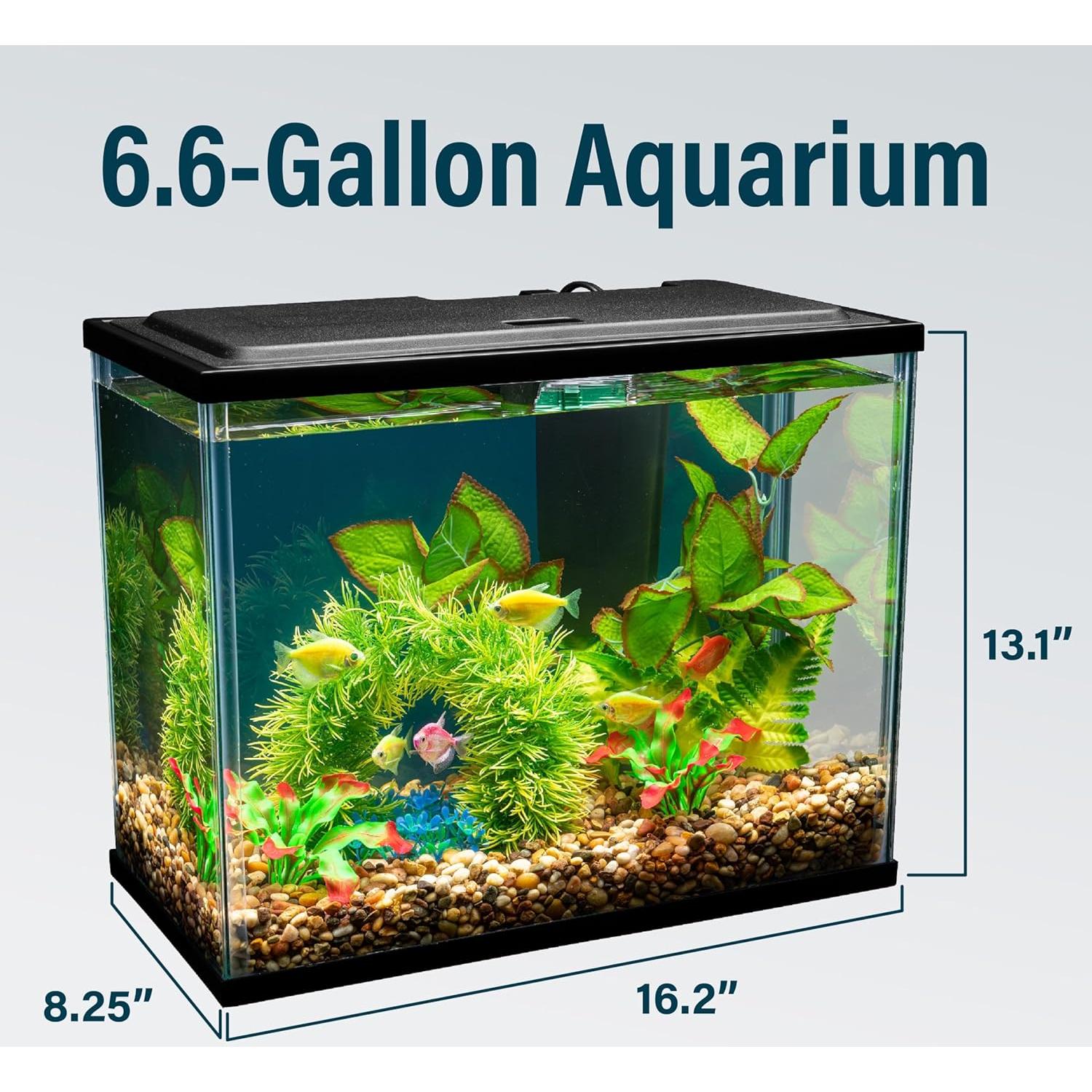 Kit de Acuario GloFish 6.6 Galones con LED y Filtro Tetra