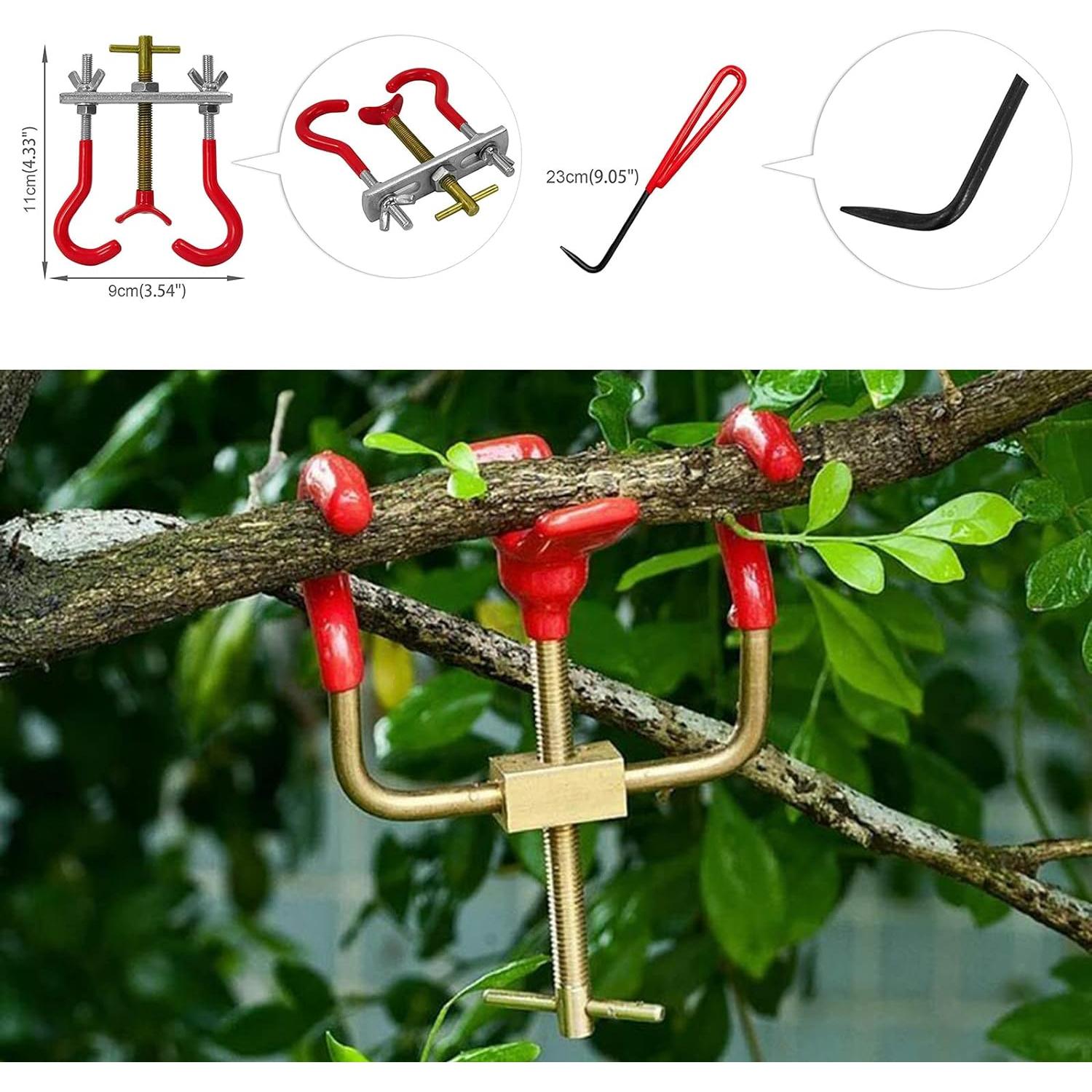 Kit de herramientas de bonsái Voilamart 14 piezas con estuche