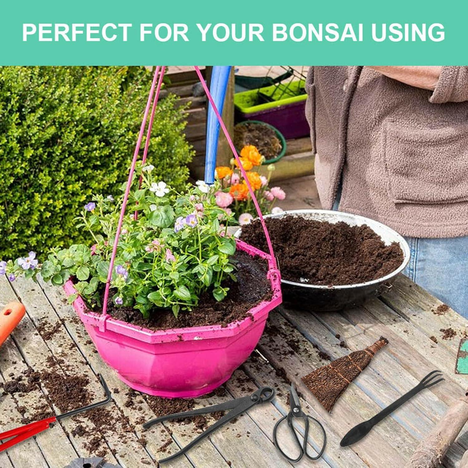 Kit de herramientas de bonsái Voilamart 14 piezas con estuche