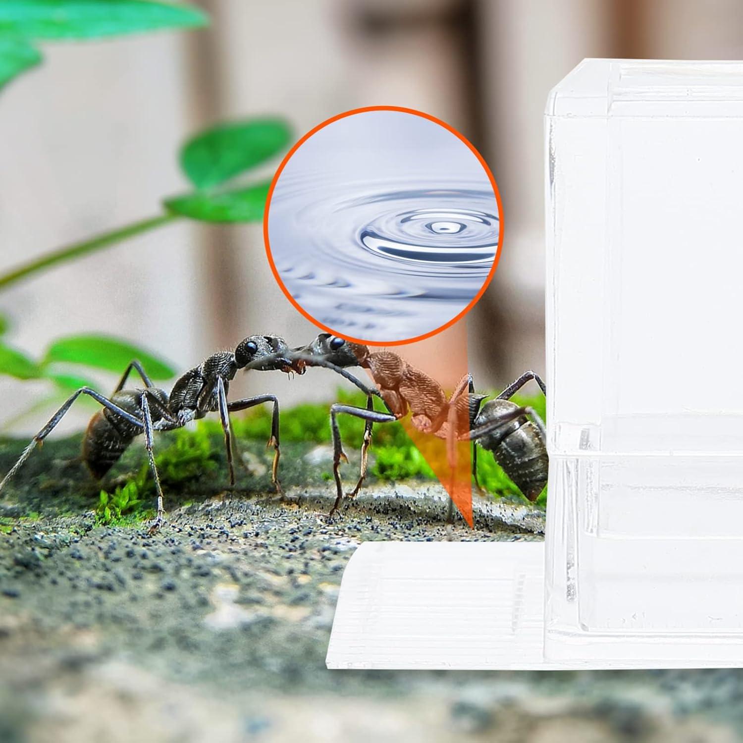 Terrario para hormigas 2 pcs Balacoo alimentador acrílico