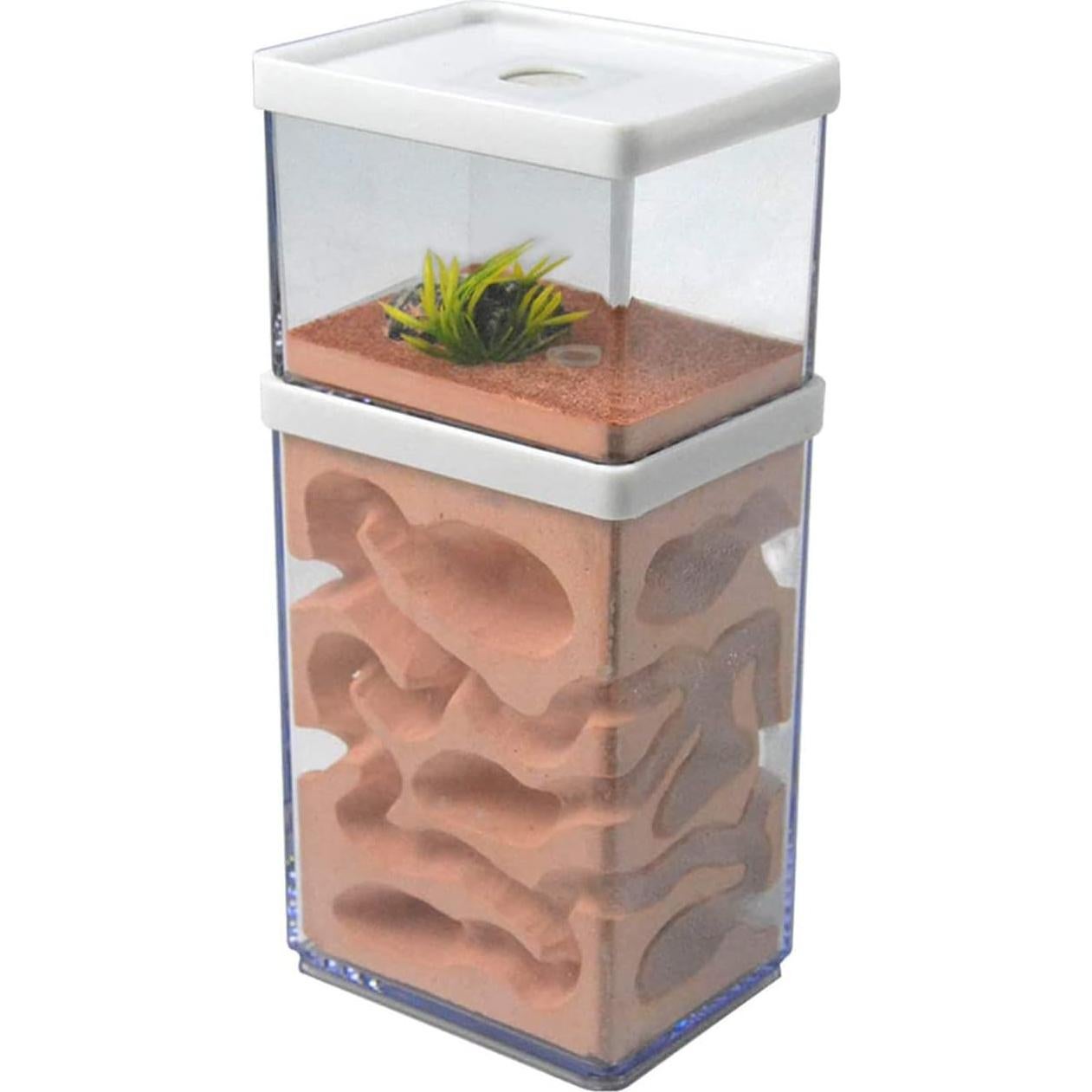 Granja Ecológica de Hormigas Awagas Nido de Yeso 10x8x15 cm