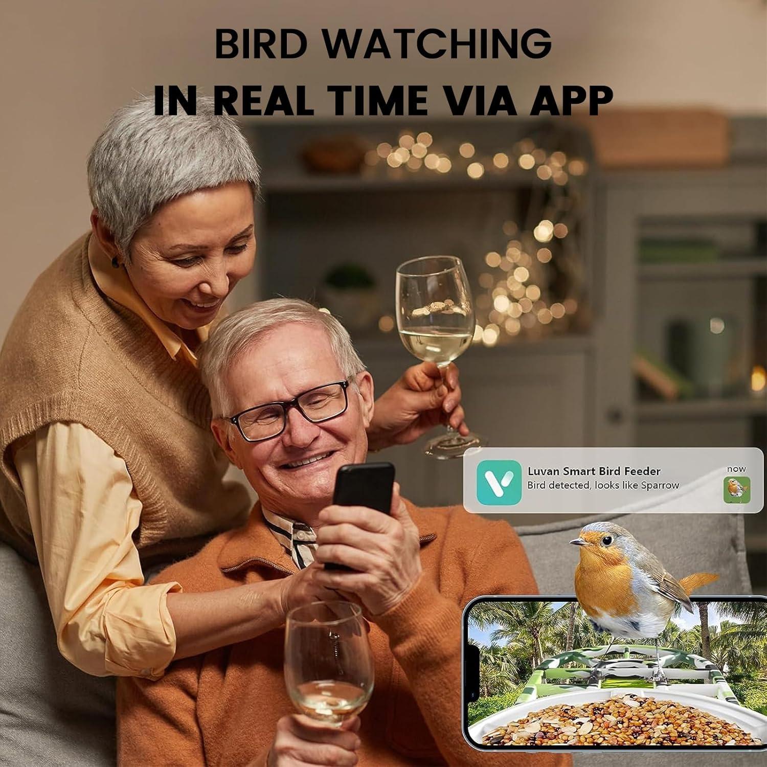 Comedero para Aves Luvan con Cámara 1080P y AI Solar