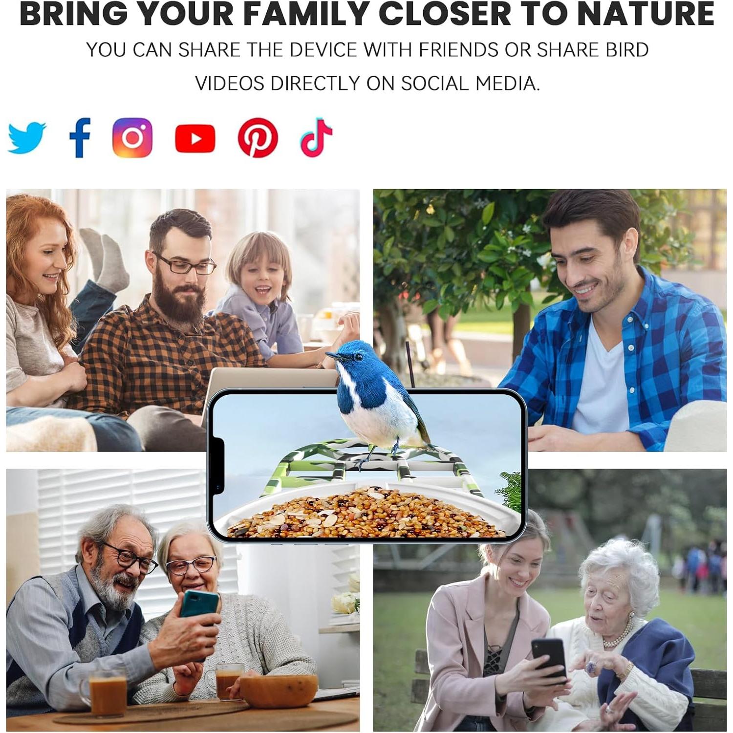 Comedero para Aves Luvan con Cámara 1080P y AI Solar