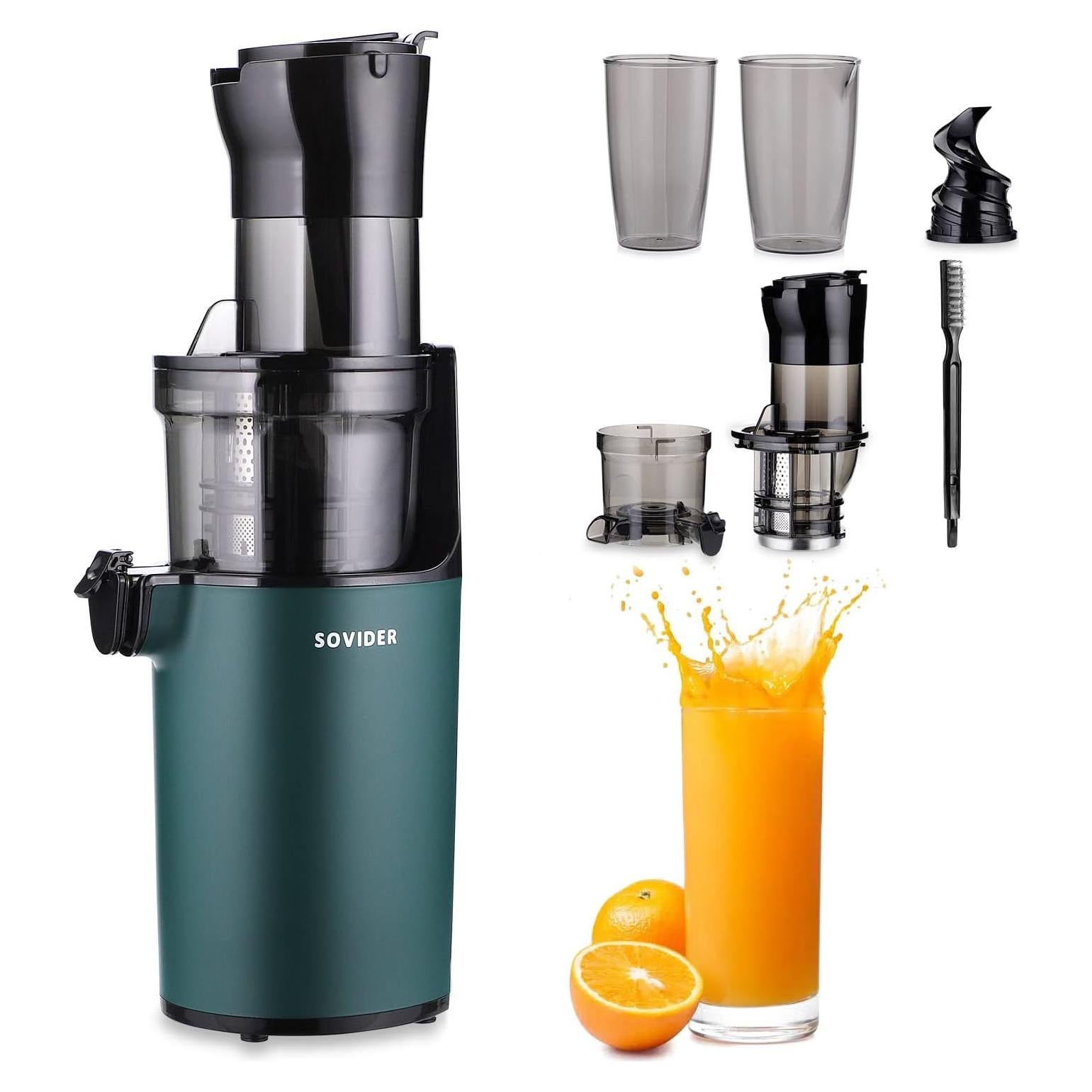 Extractor de Jugo REPALY Prensa Fría 200W 80mm Fácil Limpieza