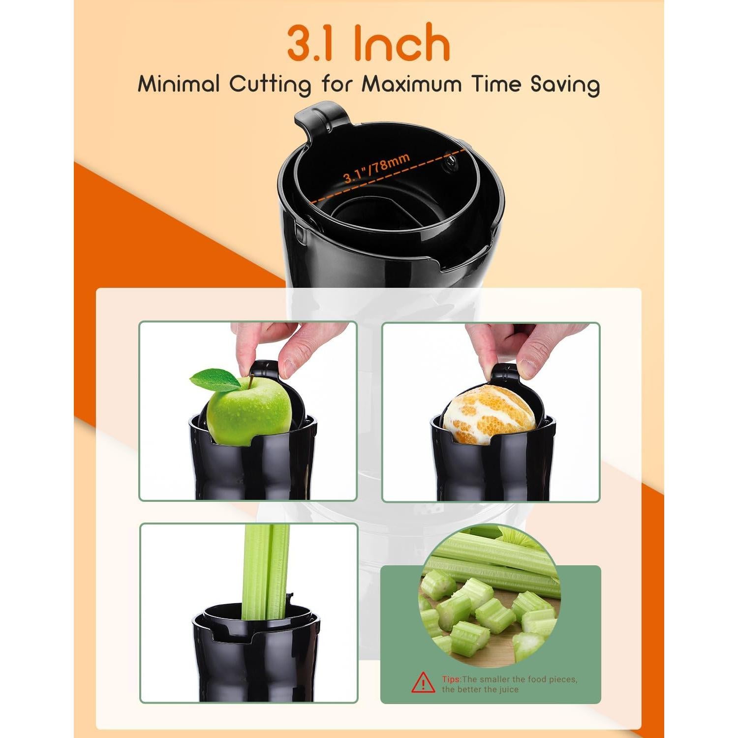 Extractor de Jugo REPALY Prensa Fría 200W 80mm Fácil Limpieza