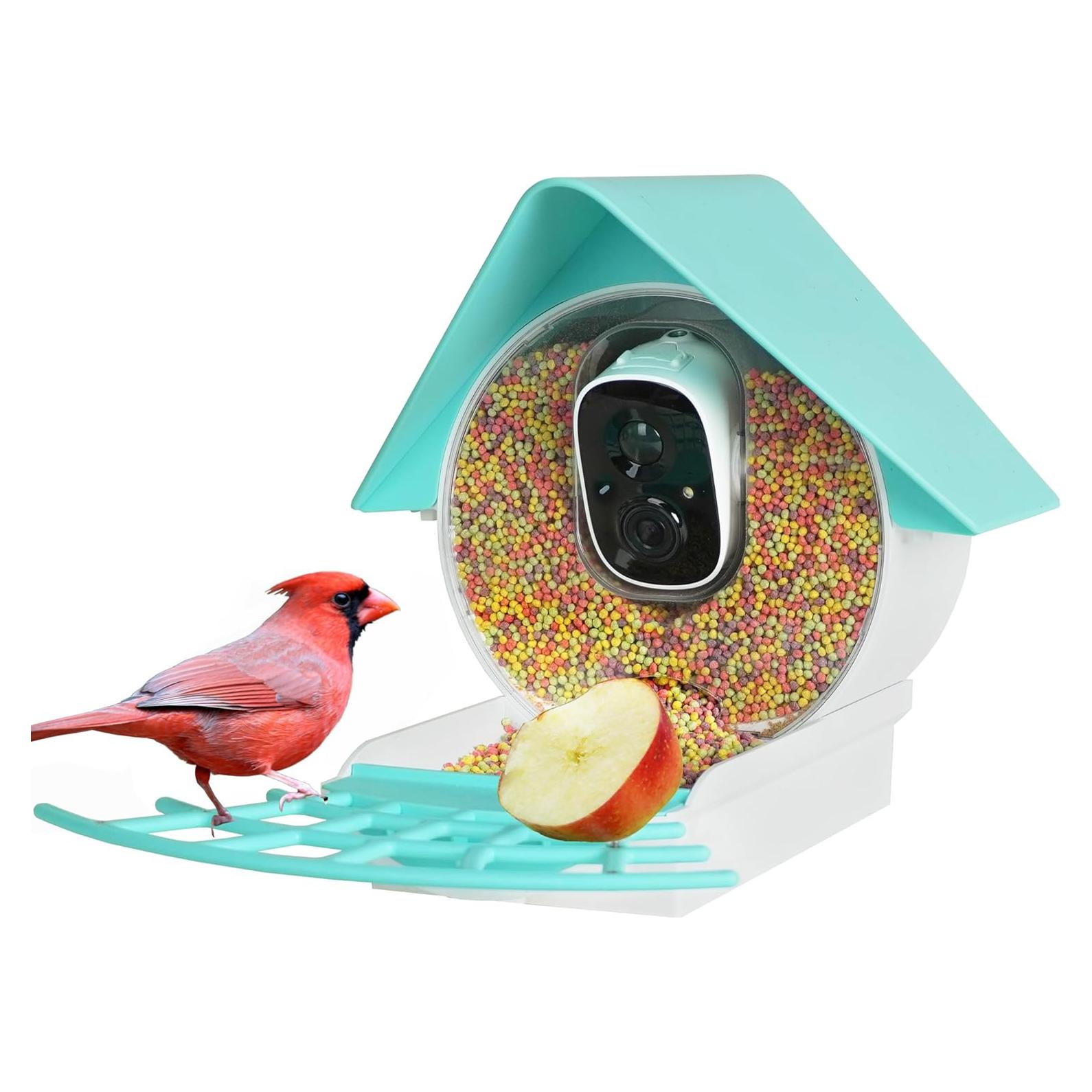 Comedero Inteligente para Aves Birdkiss 1080P HD Solar