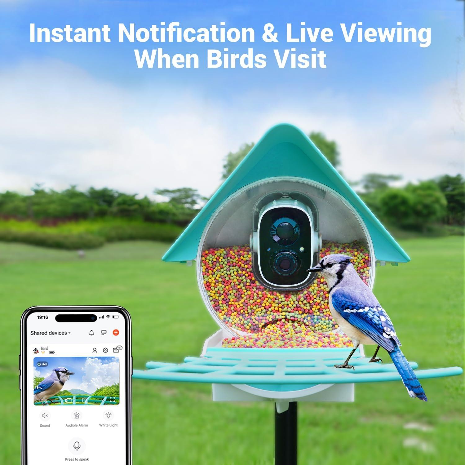 Comedero Inteligente para Aves Birdkiss 1080P HD Solar