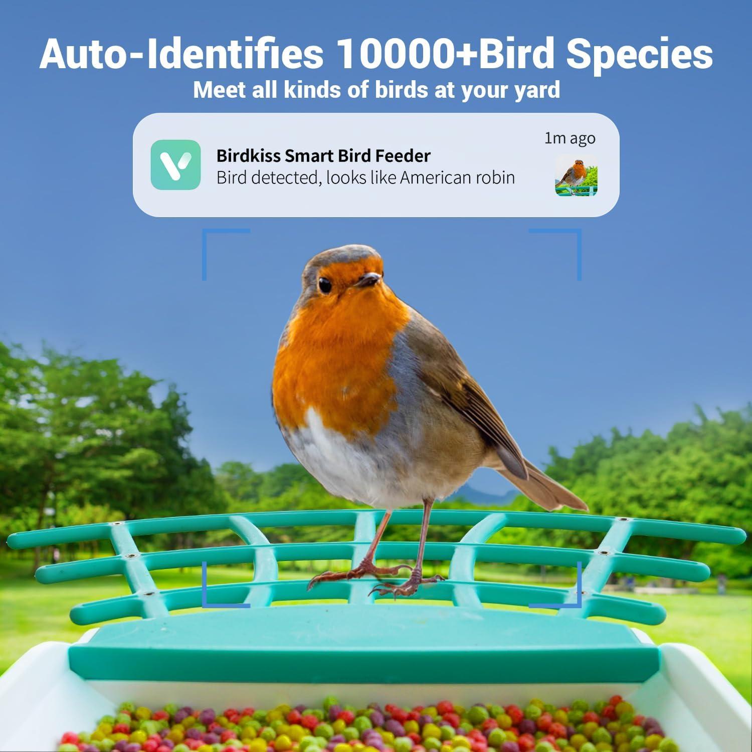 Comedero Inteligente para Aves Birdkiss 1080P HD Solar