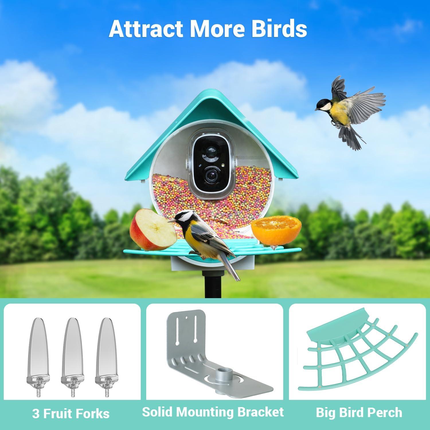 Comedero Inteligente para Aves Birdkiss 1080P HD Solar