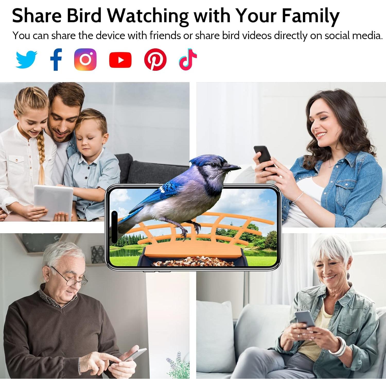 Comedero Inteligente para Aves Birdkiss 1080P HD Solar