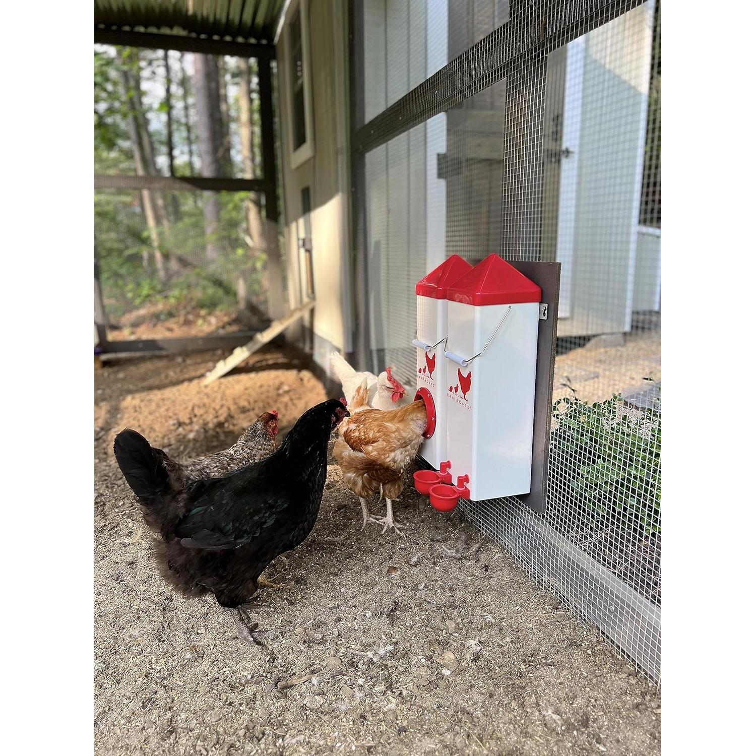 Juego Comedero y Bebedero RentACoop para Pollos 4.54 kg 7.57 L
