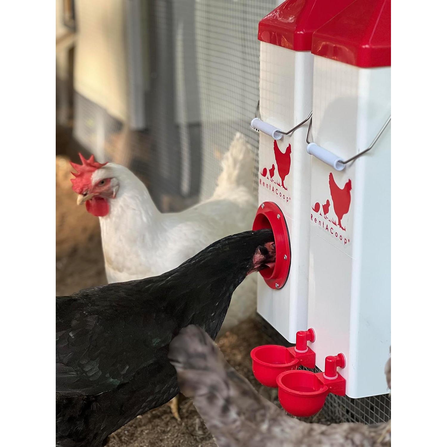Juego Comedero y Bebedero RentACoop para Pollos 4.54 kg 7.57 L