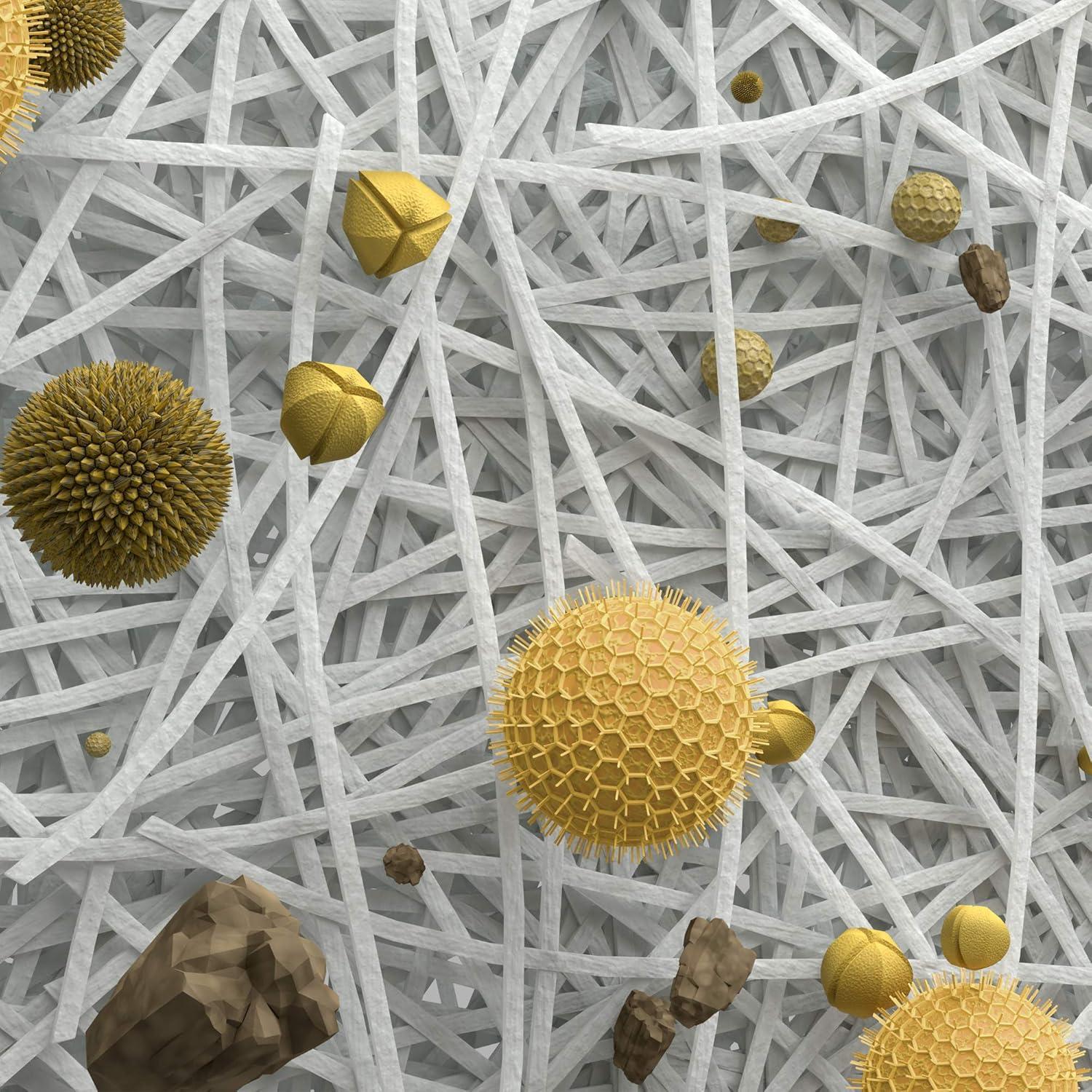 Filtro de Alta Eficiencia iRobot Roomba e, i y j - Paquete de 3