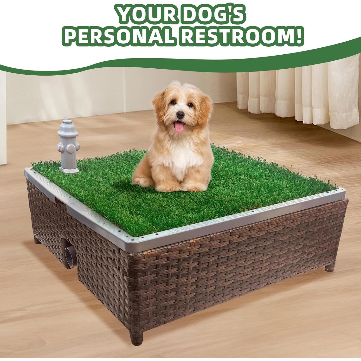 Inodoro para Perros SERABETTO con Césped Sintético 60x60cm