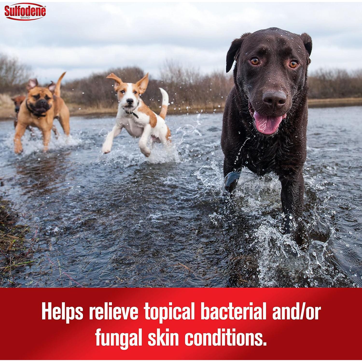 Ungüento para heridas de perro Sulfodene 56.7g - Alivio y protección