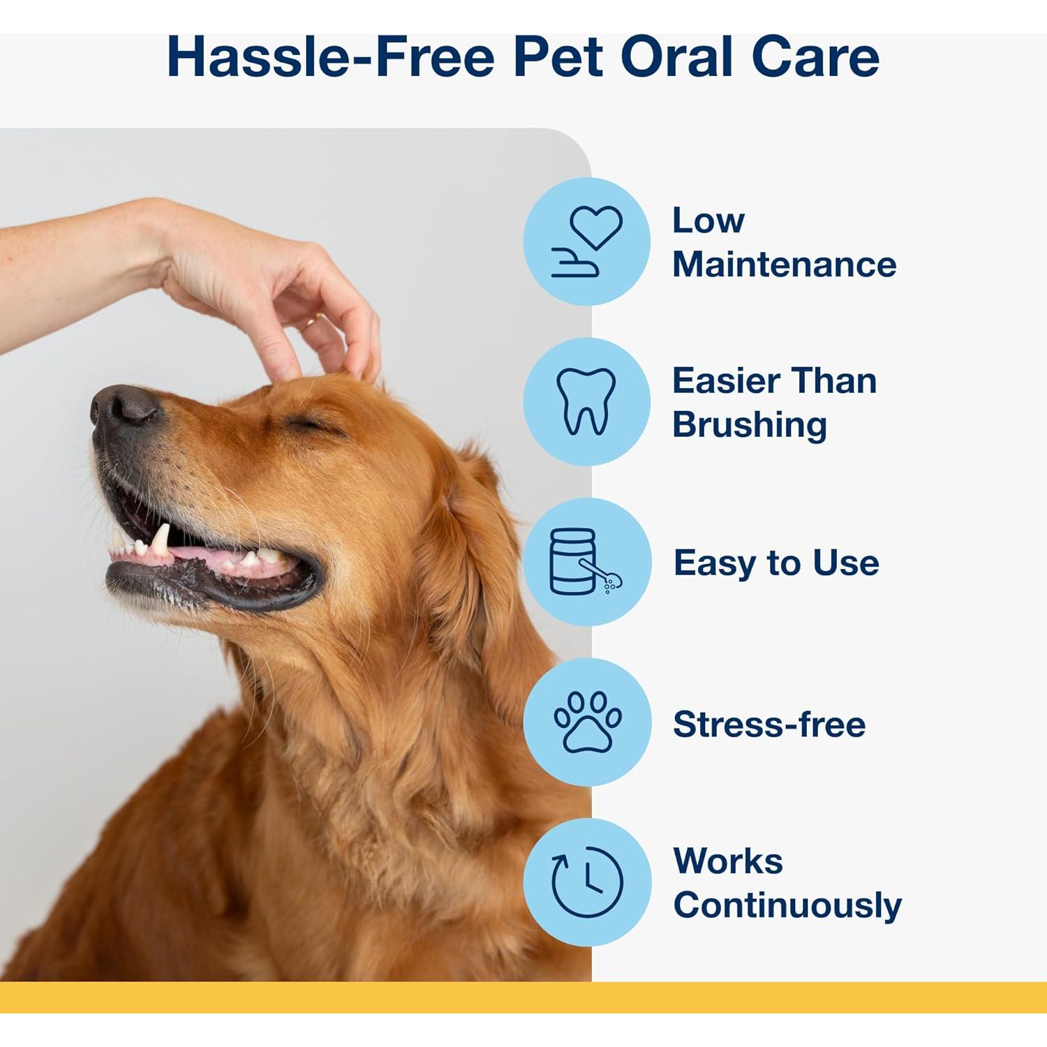 ProDen PlaqueOff Polvo Dental para Perros y Gatos - 60g