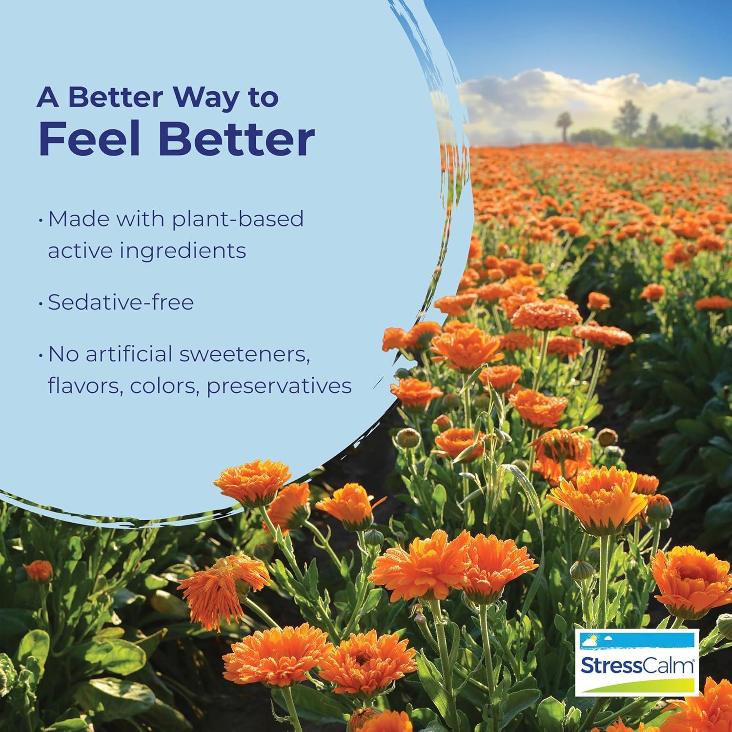 Boiron StressCalm 60 tabletas disolventes para el estrés