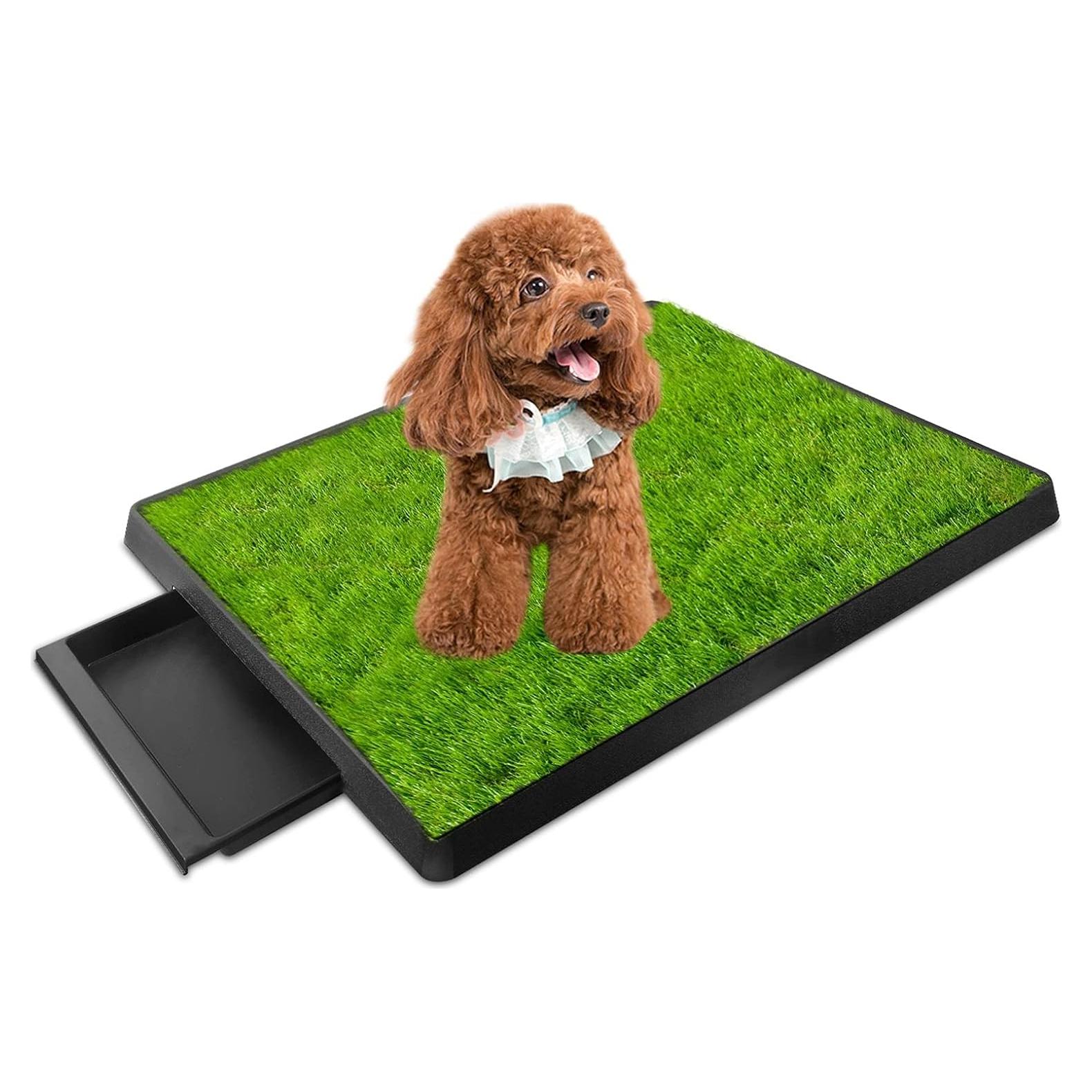 Caja de Arena para Perros GPCT 63.5x50.8cm Césped Sintético