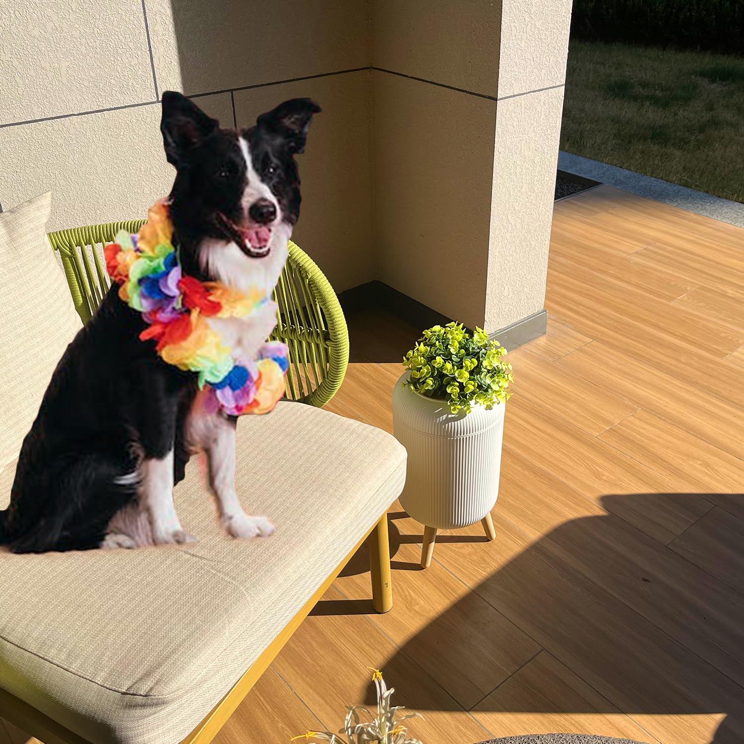 Cubo de Basura Yatmung para Excremento de Perro 9.46L