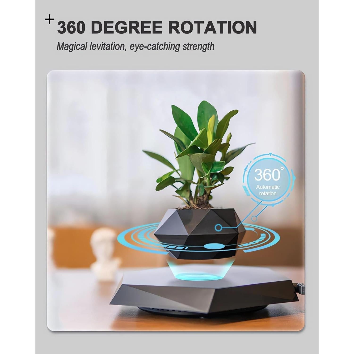 Maceta Flotante Magnética Ronsoile para Bonsai - Negro