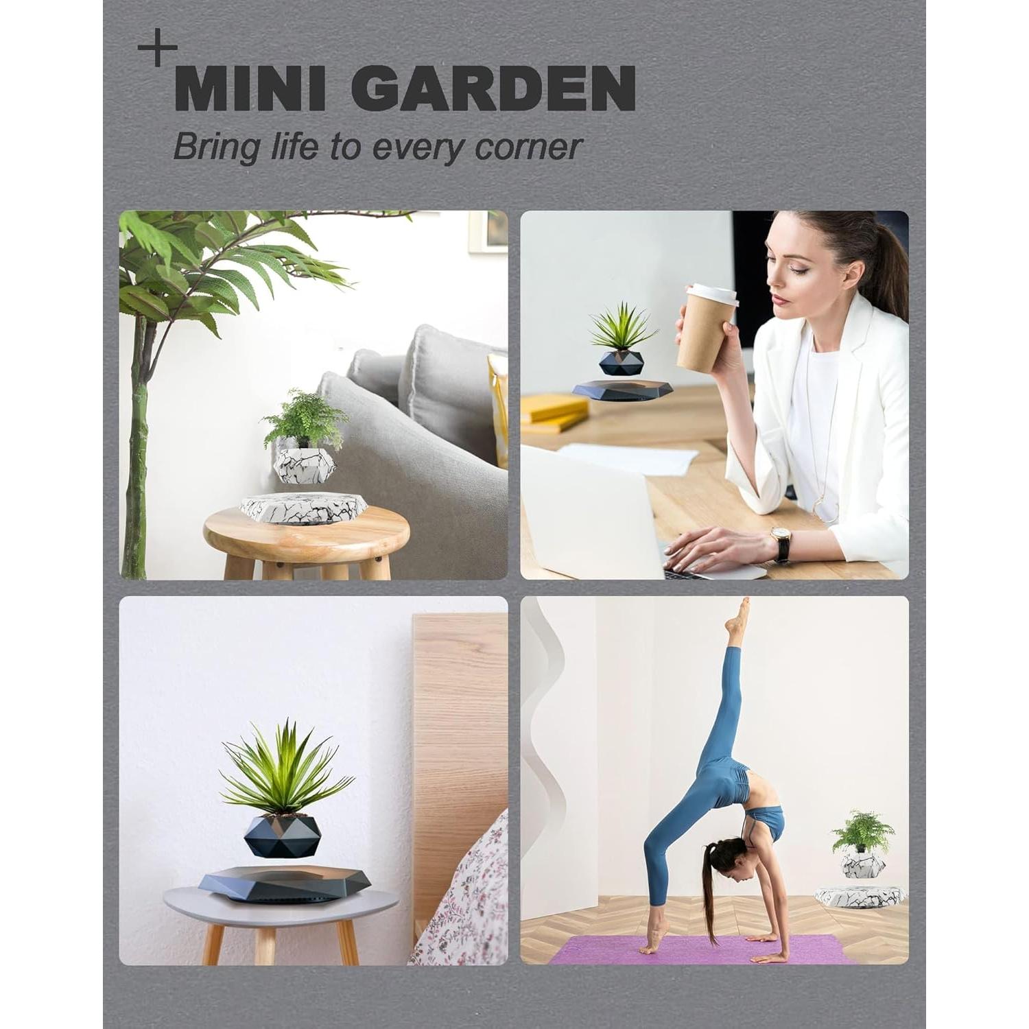 Maceta Flotante Magnética Ronsoile para Bonsai - Negro