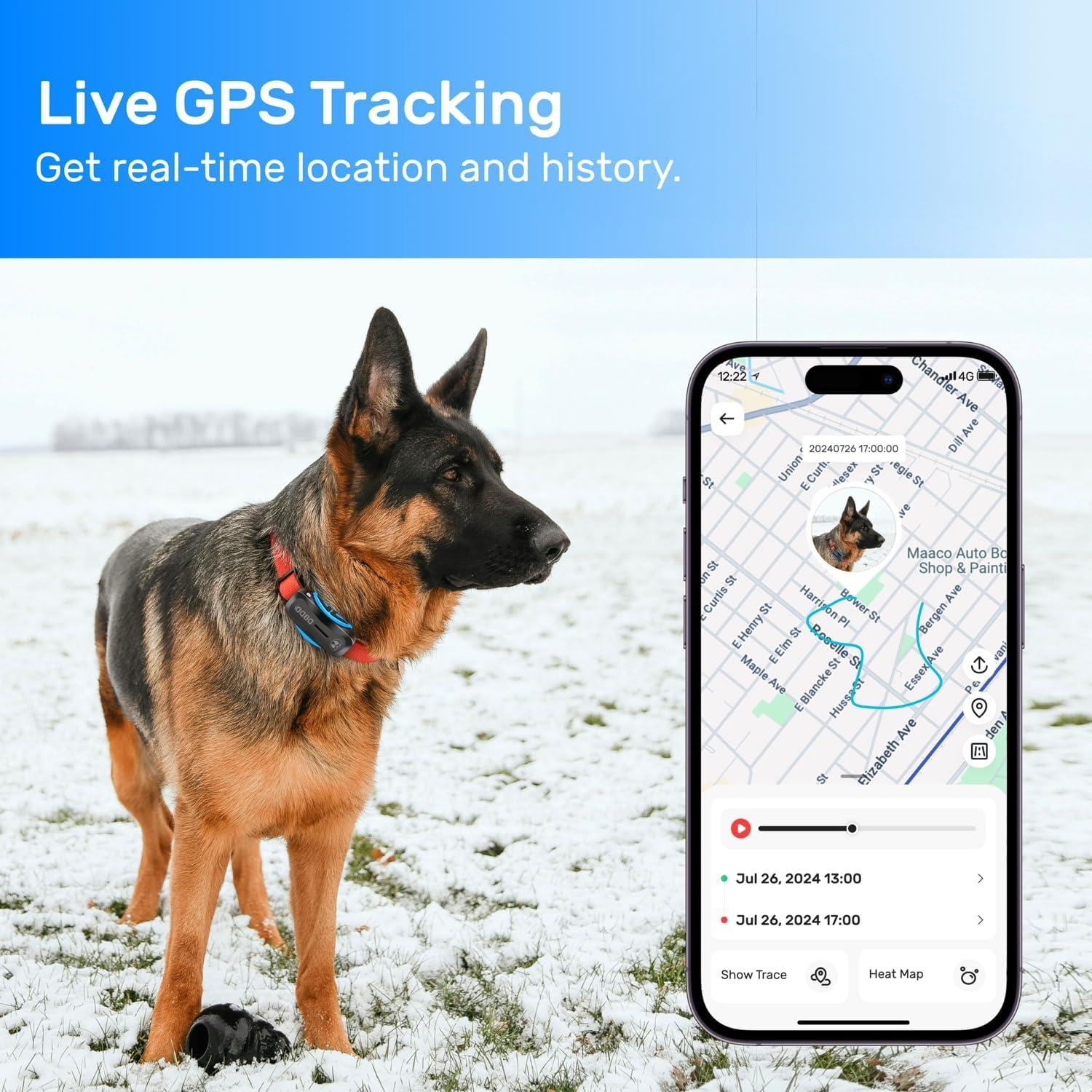 Rastreador GPS para perros DBDD IP67 con alertas y monitoreo