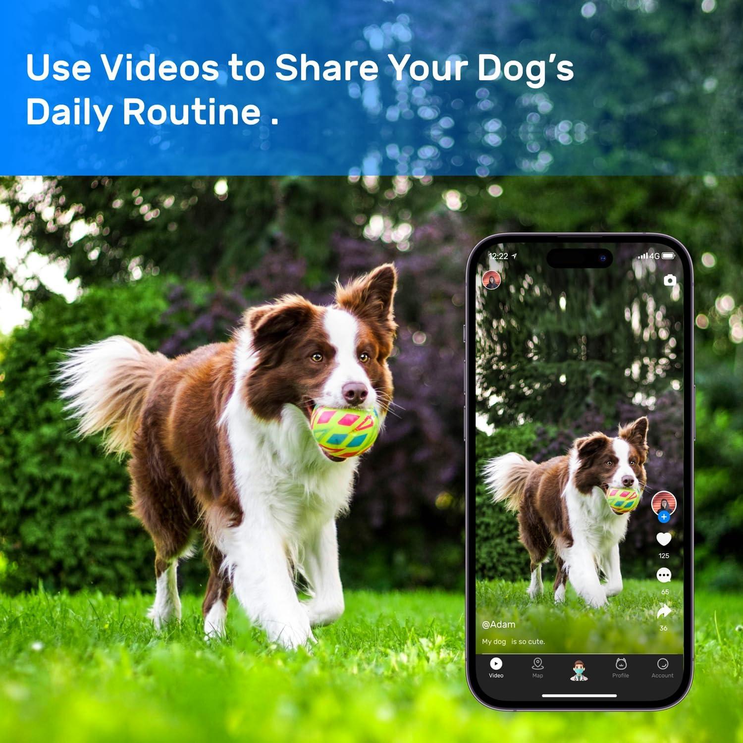 Rastreador GPS para perros DBDD IP67 con alertas y monitoreo