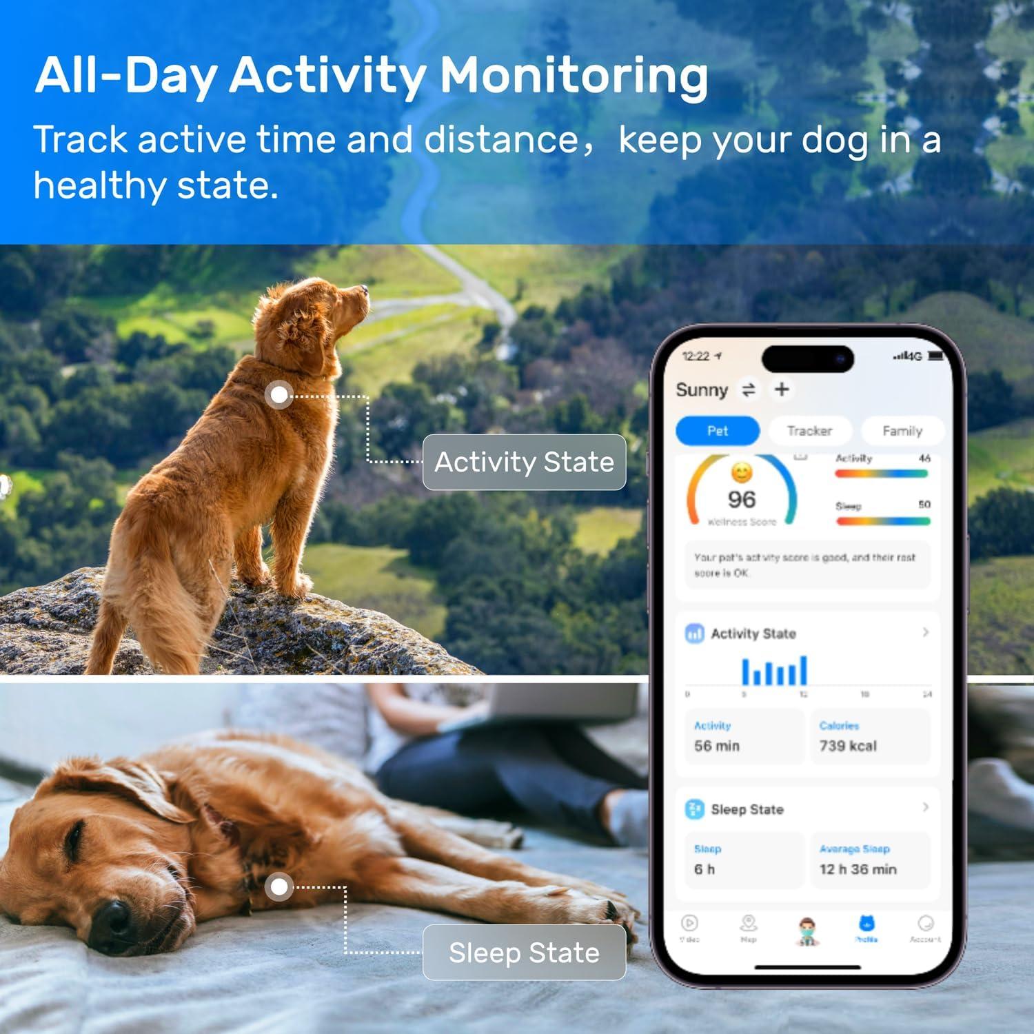 Rastreador GPS para perros DBDD IP67 con alertas y monitoreo