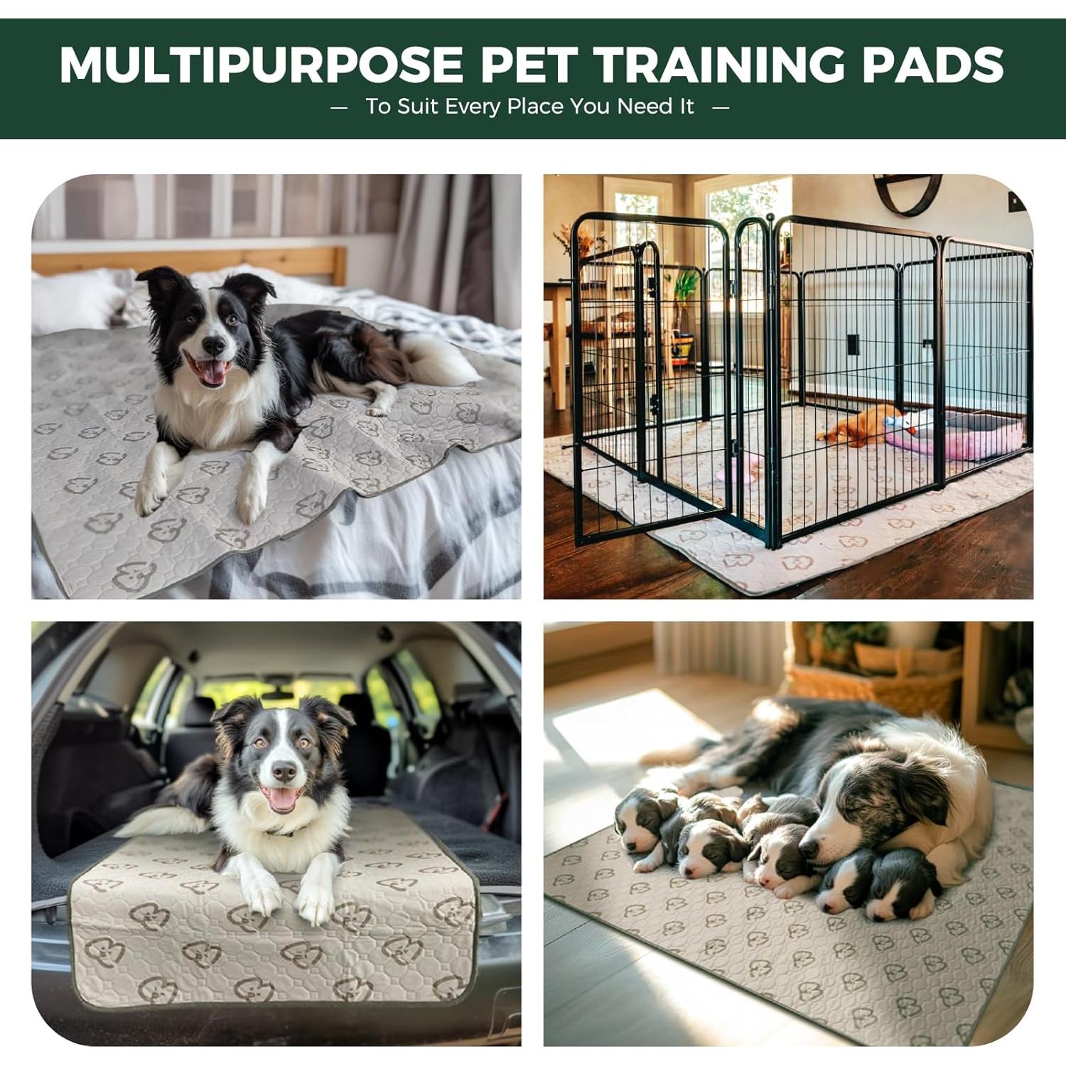 Almohadillas Lavables FXW para Perros 63x63 cm Absorbentes