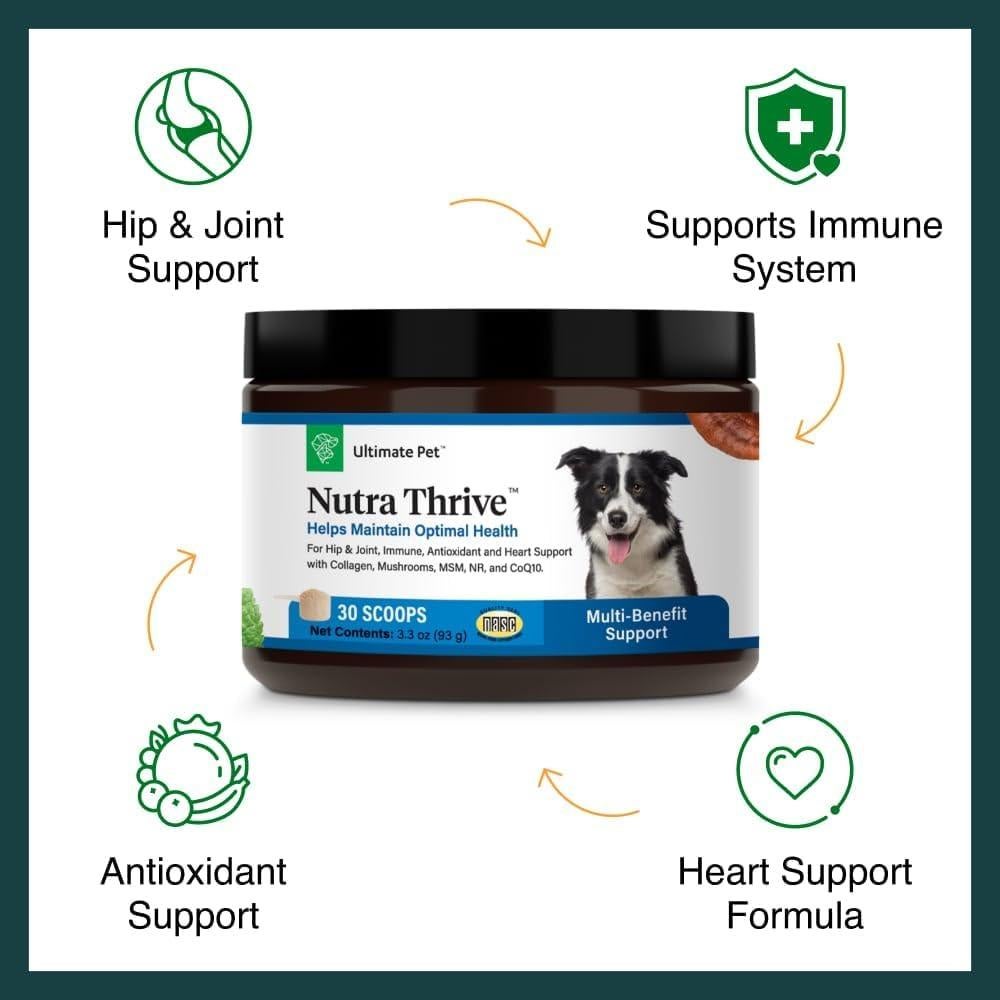 Suplemento Nutricional Nutra Thrive Canino 40-en-1 Polvo 30 Cucharadas