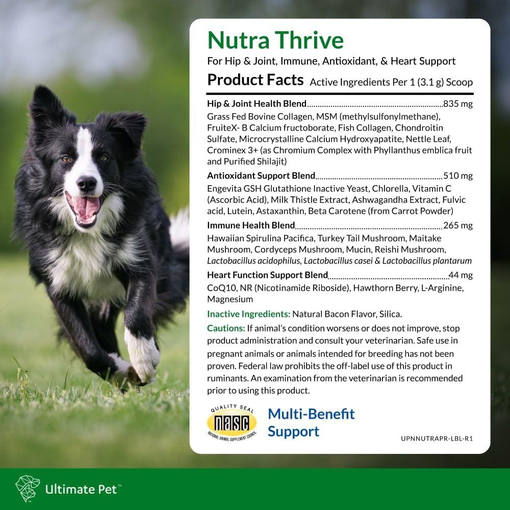 Suplemento Nutricional Nutra Thrive Canino 40-en-1 Polvo 30 Cucharadas