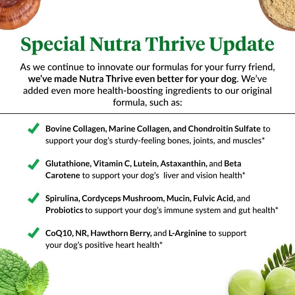 Suplemento Nutricional Nutra Thrive Canino 40-en-1 Polvo 30 Cucharadas