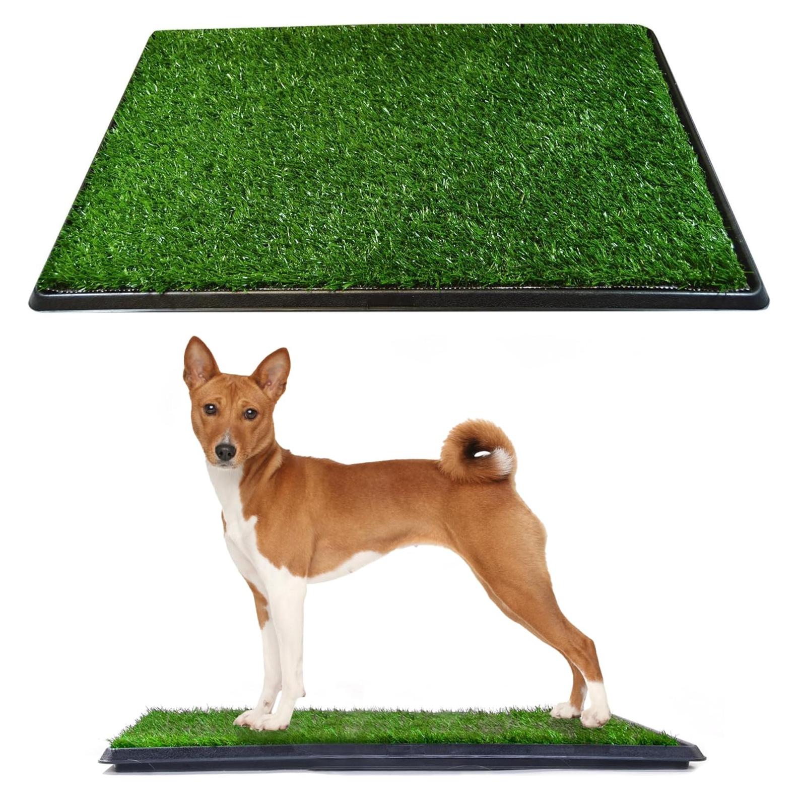 Alfombrilla Césped para Perros Downtown Pet Supply 50x63 cm