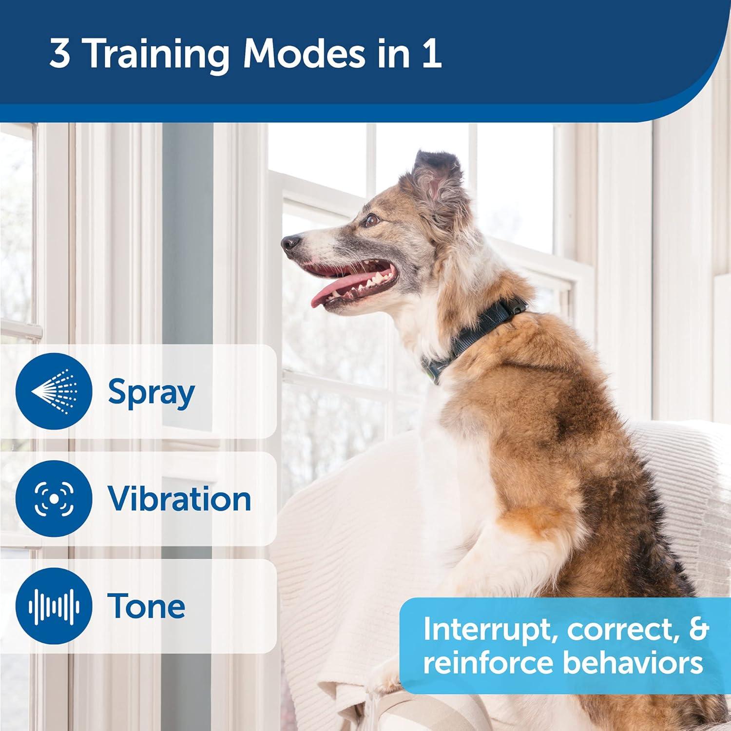 Collar de Entrenamiento Remoto PetSafe para 2 Perros - Spray, Tono y Vibración - Resistente al Agua