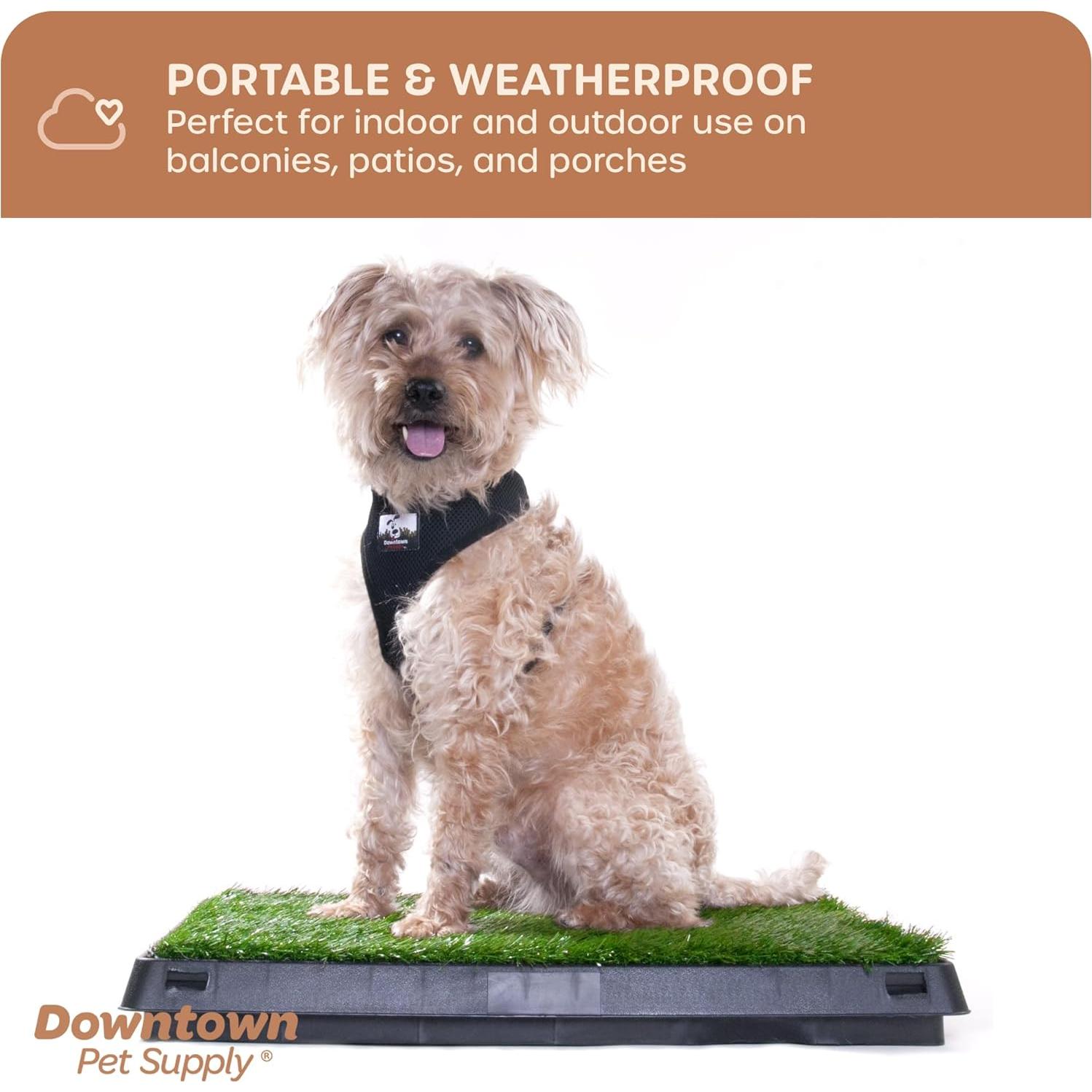 Alfombrilla de Césped para Perros Downtown Pet Supply 63x51cm