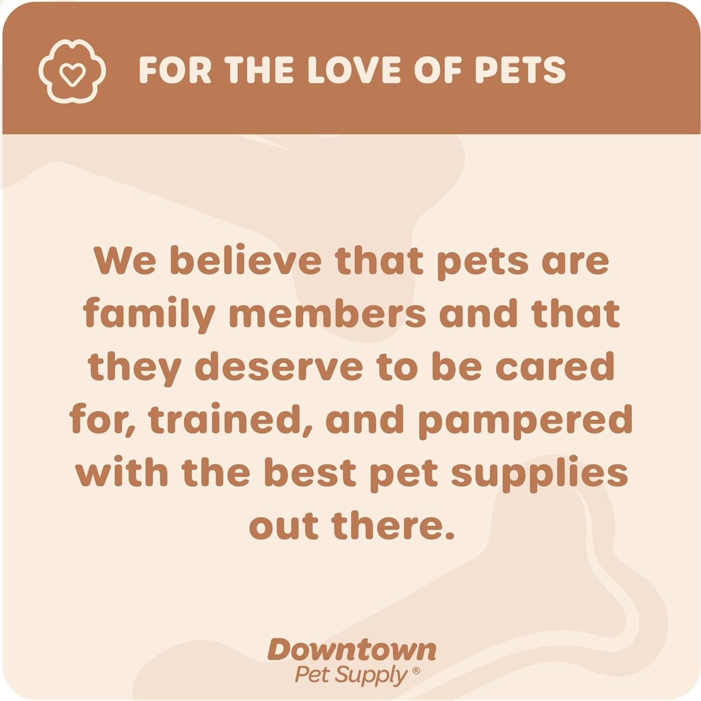 Alfombrilla de Césped para Perros Downtown Pet Supply 63x51cm