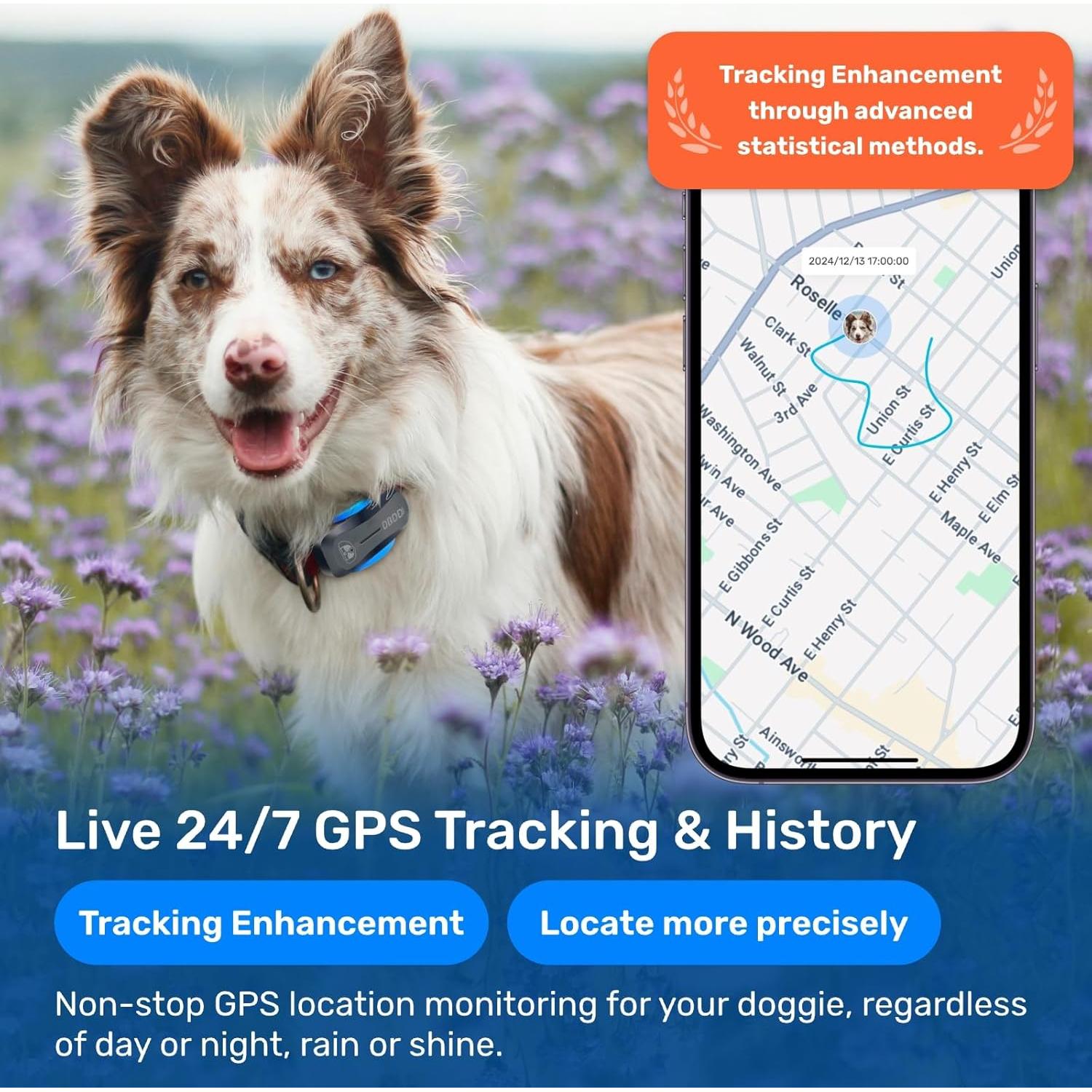 Rastreador GPS para Perros DBDD, Impermeable, AI, Negro