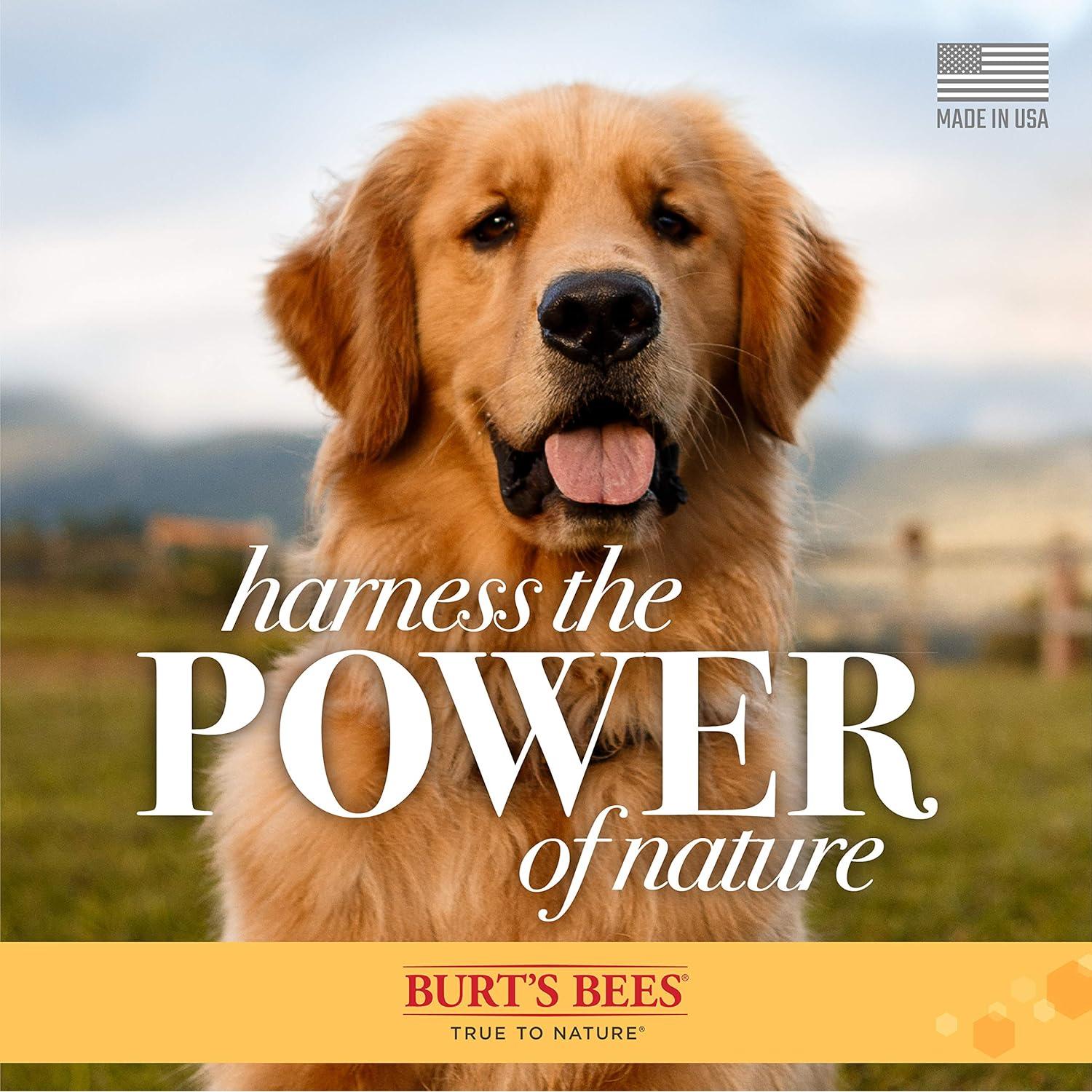 Champú de Avena Burt's Bees para Perros 118 ml - Suave y Natural