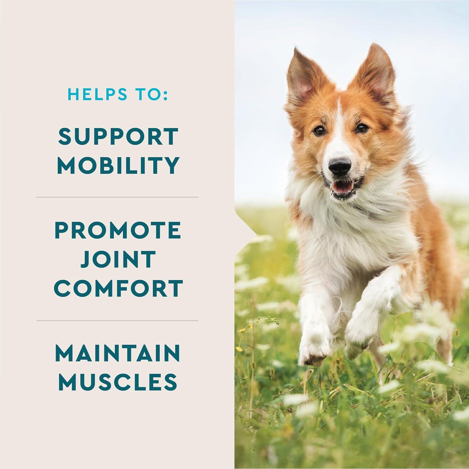 VetIQ Advanced Hip & Joint para Perros Sabor Pollo 60 Unidades