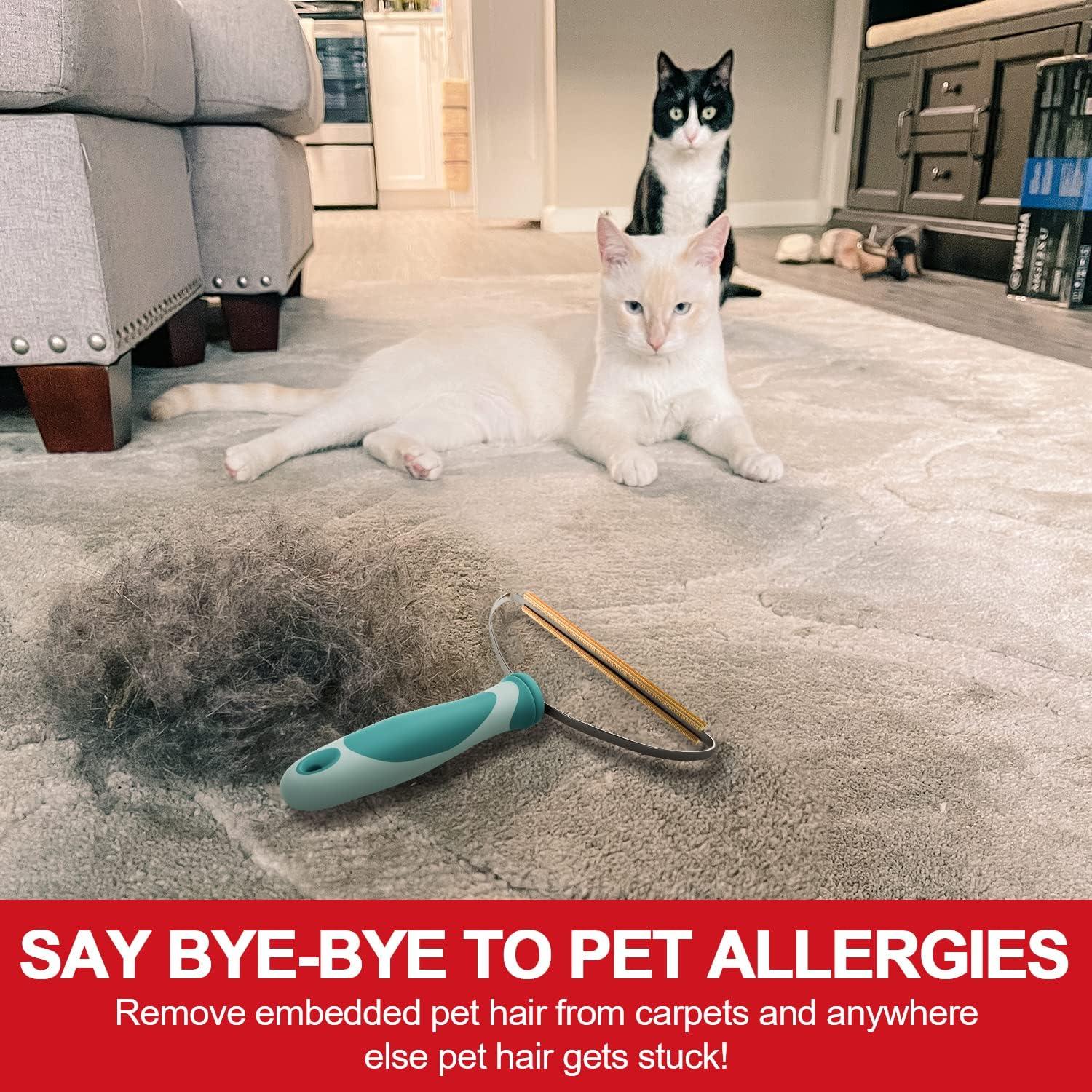 Removedor de Pelo de Mascota ELEMSY Verde y Gris, Manual