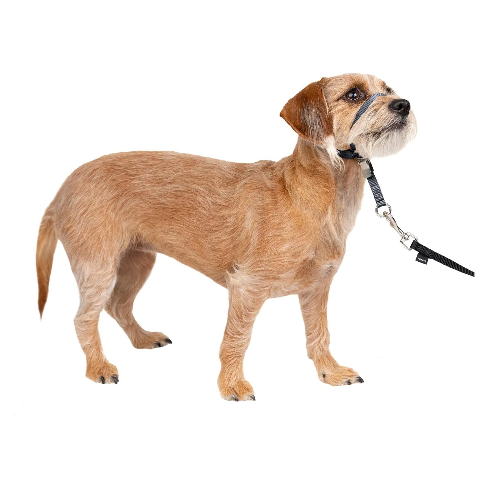 Collar de Cabeza PetSafe Gentle Leader Pequeño Carbón - Sin Tirones