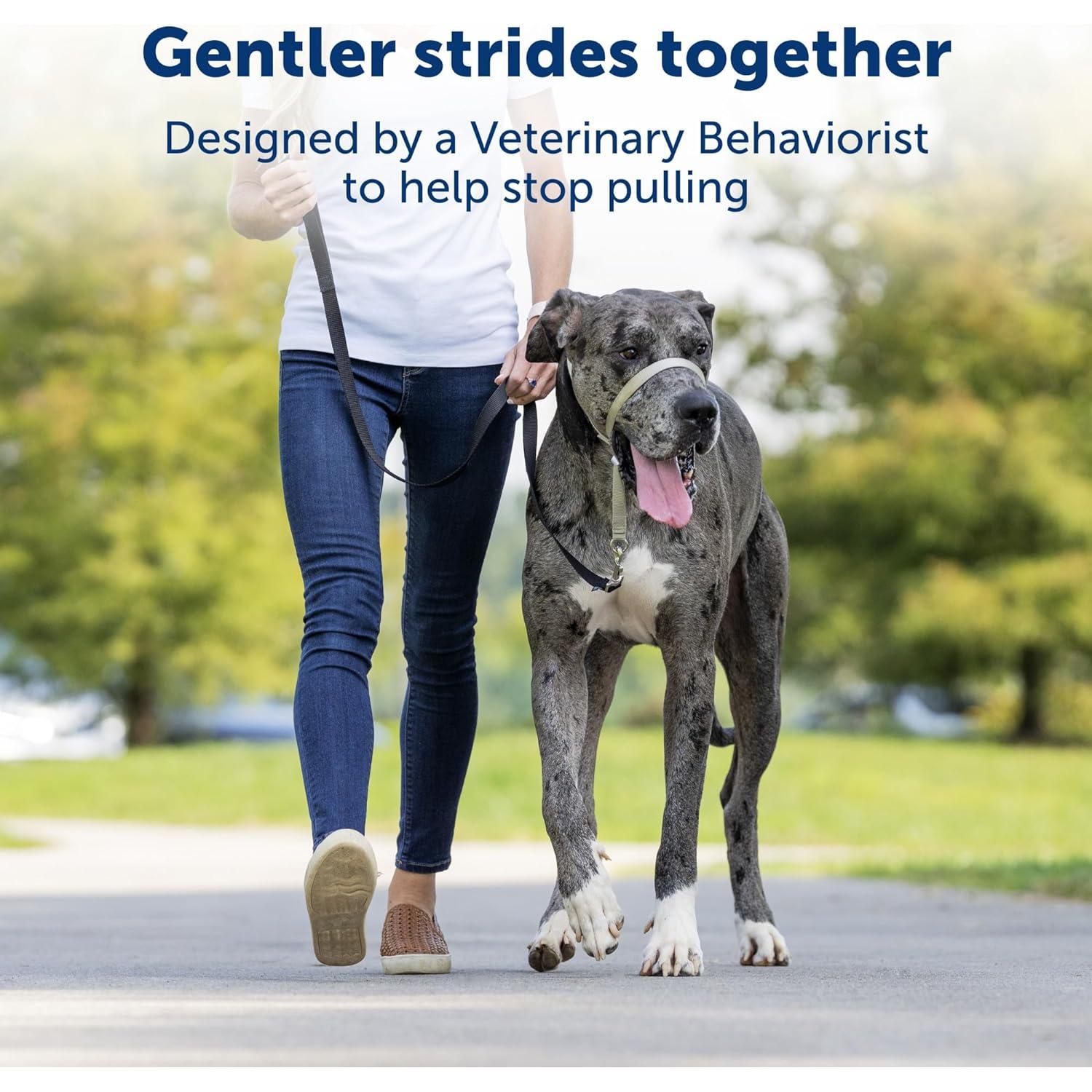 Collar de Cabeza PetSafe Gentle Leader Pequeño Carbón - Sin Tirones