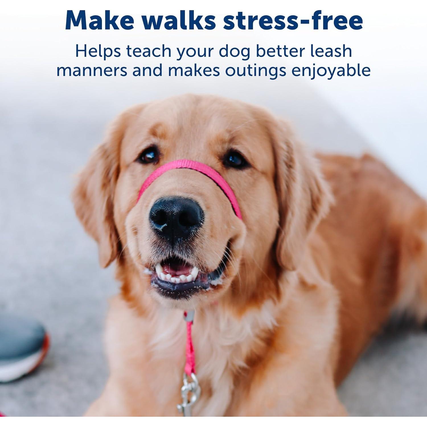 Collar de Cabeza PetSafe Gentle Leader Pequeño Carbón - Sin Tirones