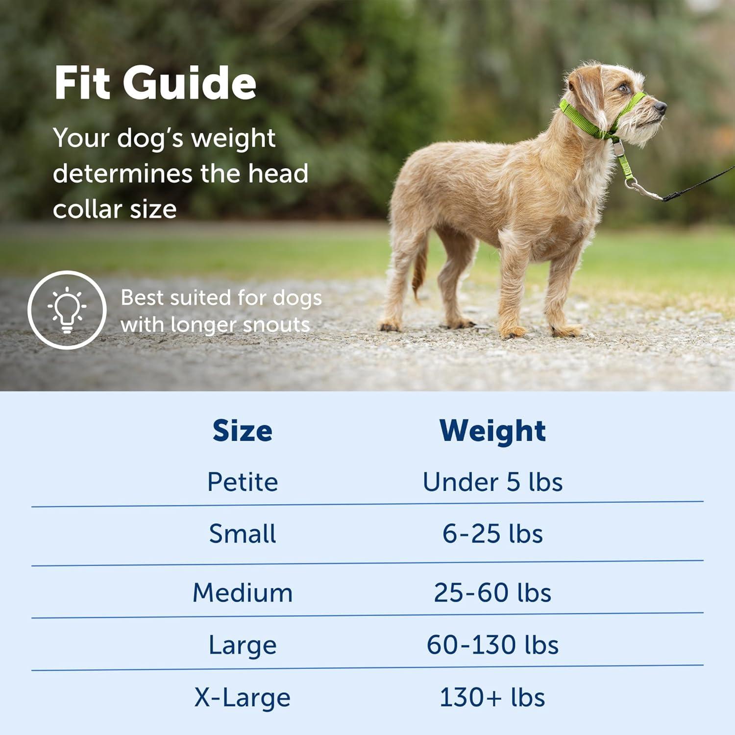 Collar de Cabeza PetSafe Gentle Leader Pequeño Carbón - Sin Tirones