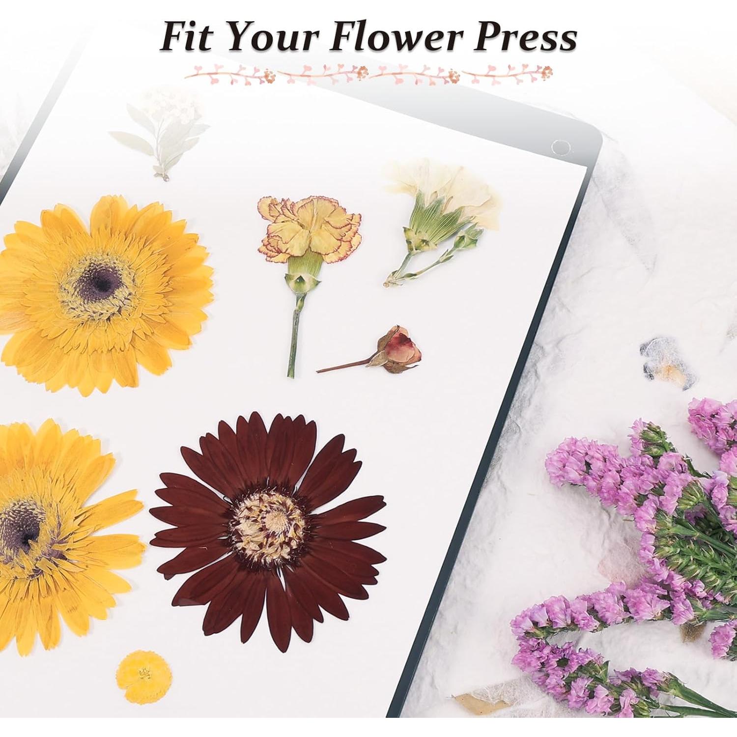 Papel Absorbente para Prensar Flores Aboofx 26 Hojas A4