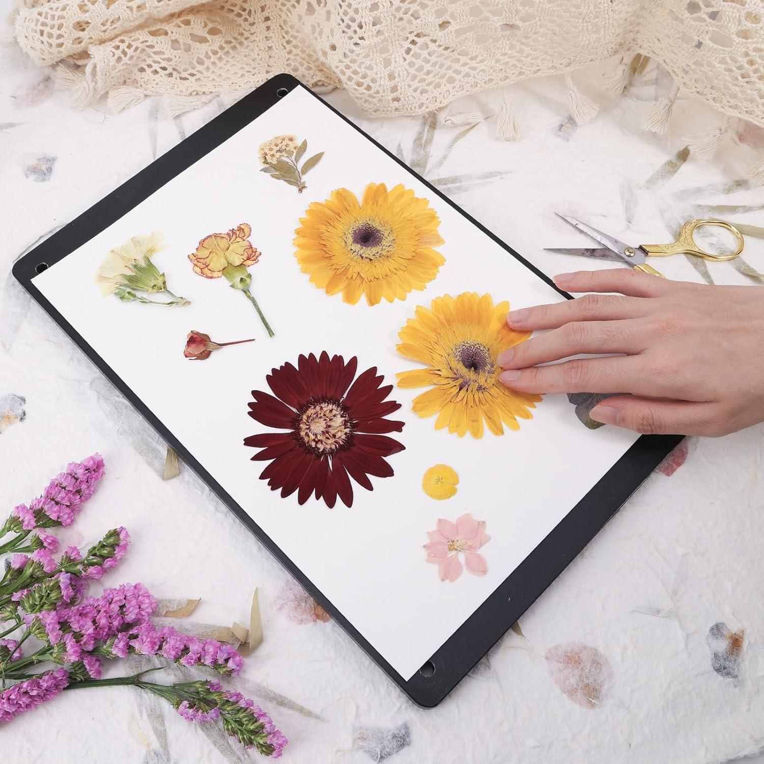 Papel Absorbente para Prensar Flores Aboofx 26 Hojas A4